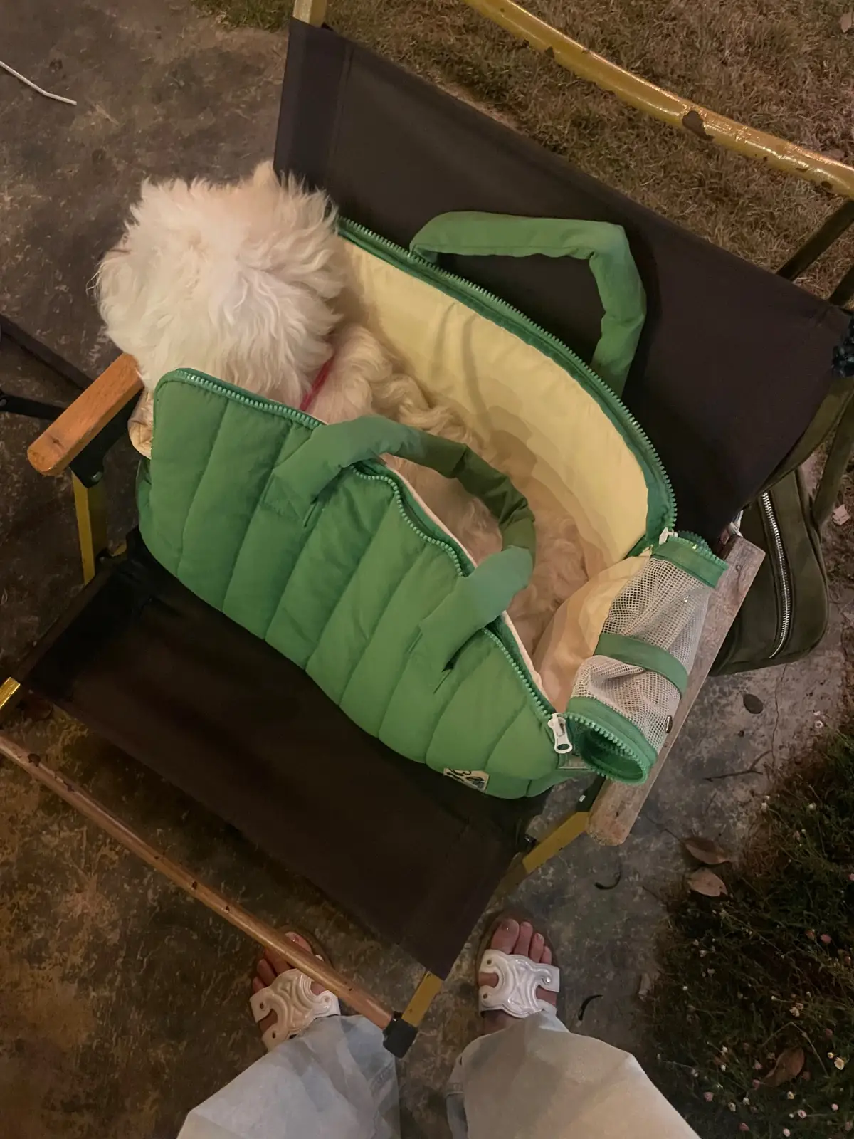 ถ้าเธอชอบเขา pets image 1