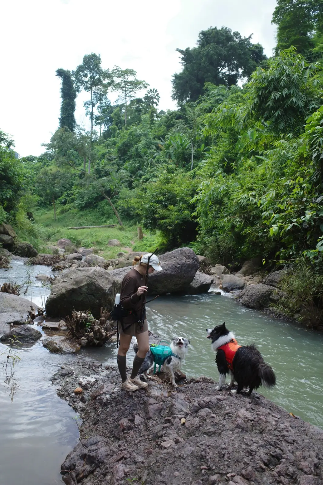 น้ำตกคลองคราม pets image 2