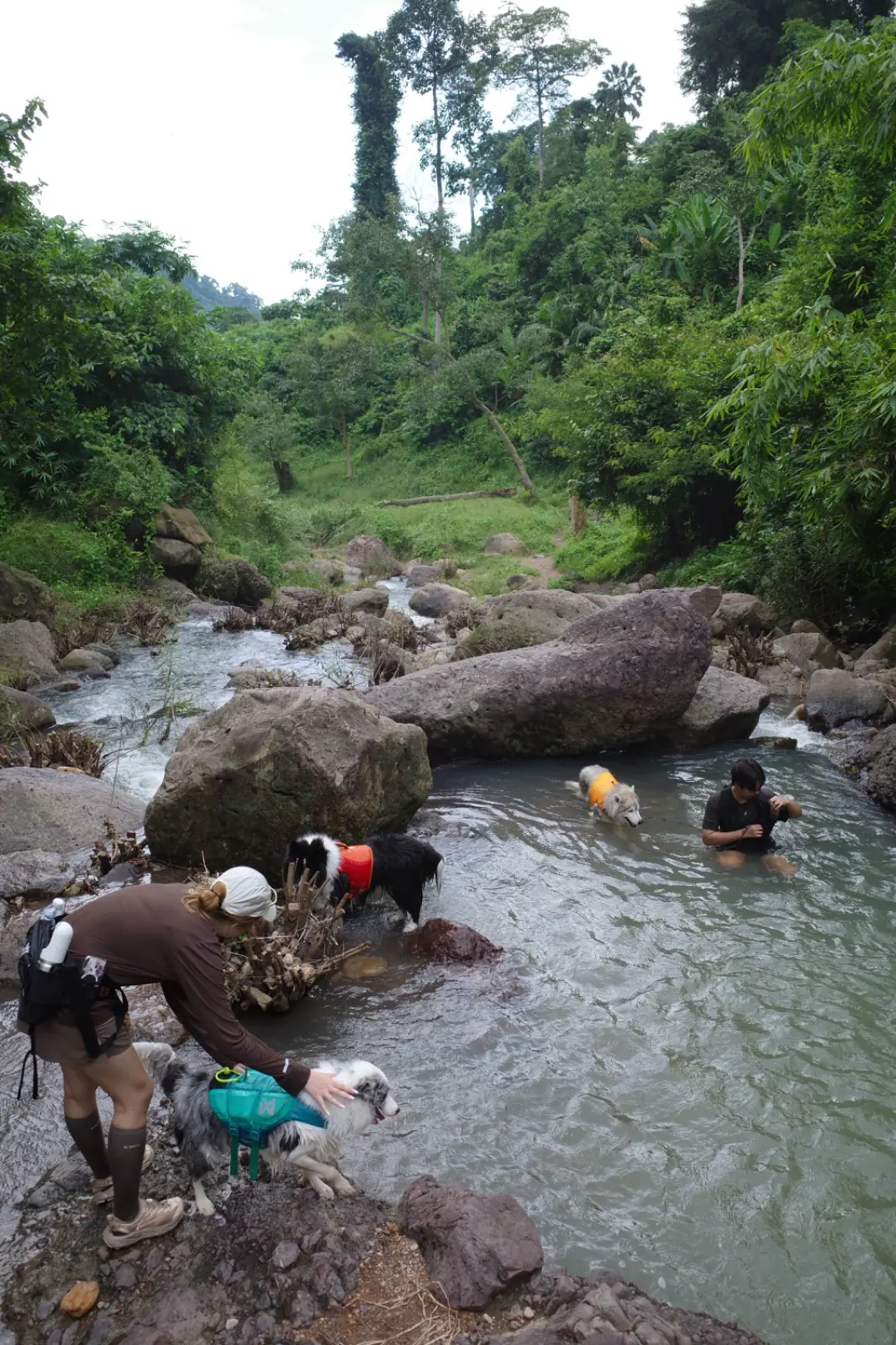 น้ำตกคลองคราม pets image 4