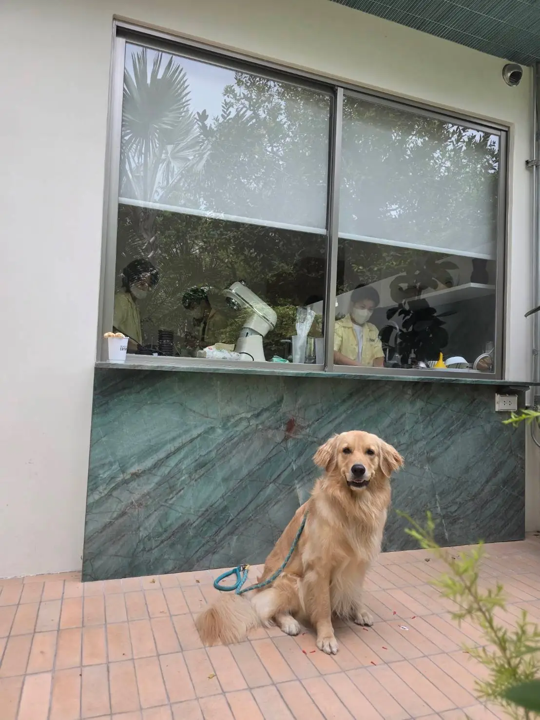 Matcha Edition overall image 2