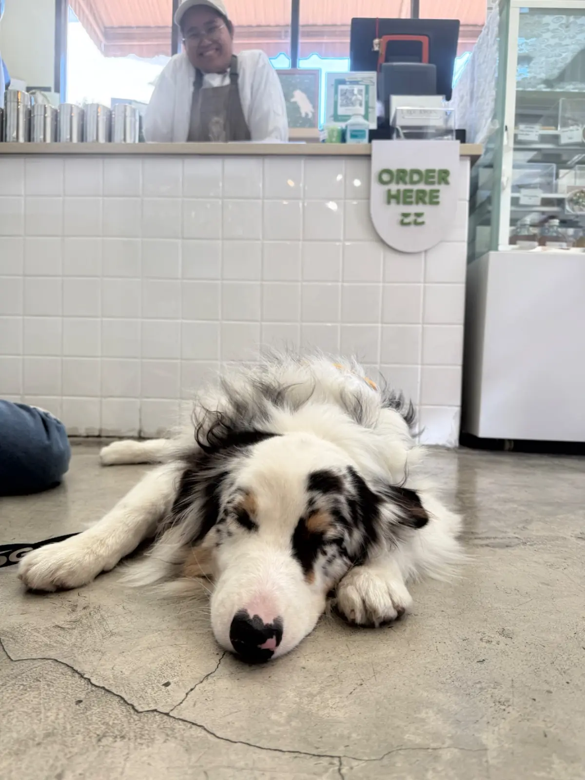 Samatea Cafe pets image 3
