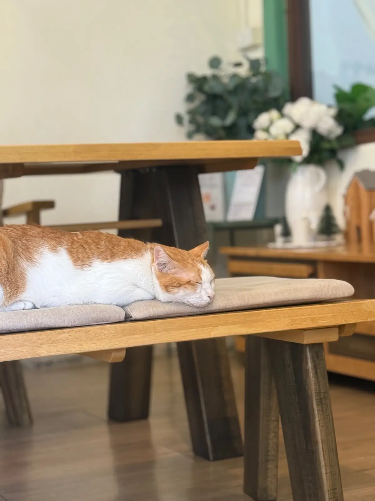 Samatea Cafe pets image 2