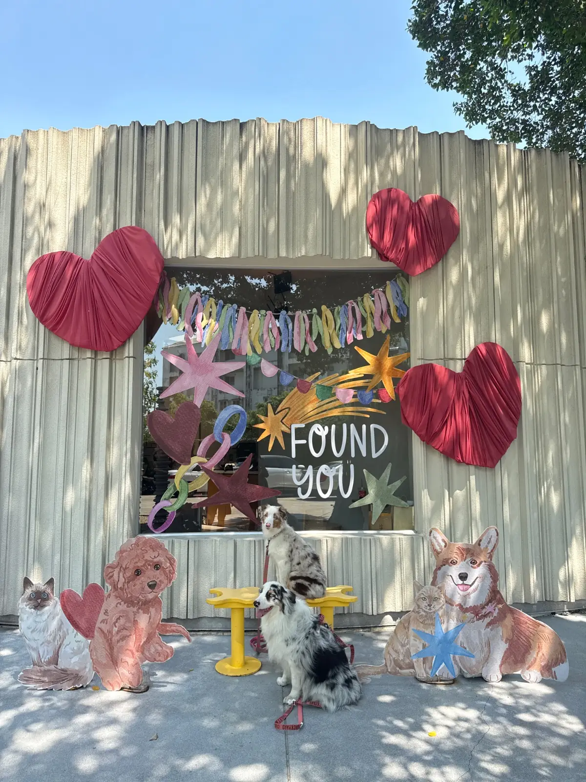 Found Cafe pets image 12