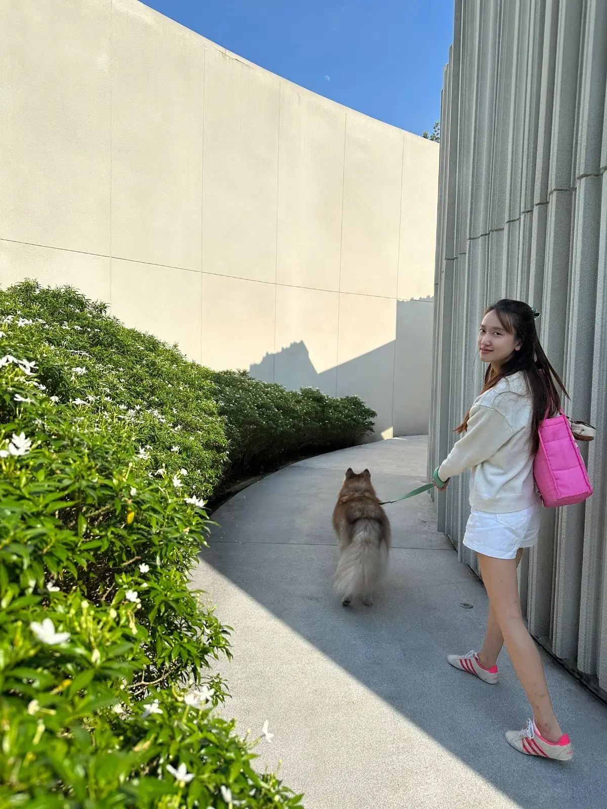 Found Cafe pets image 7