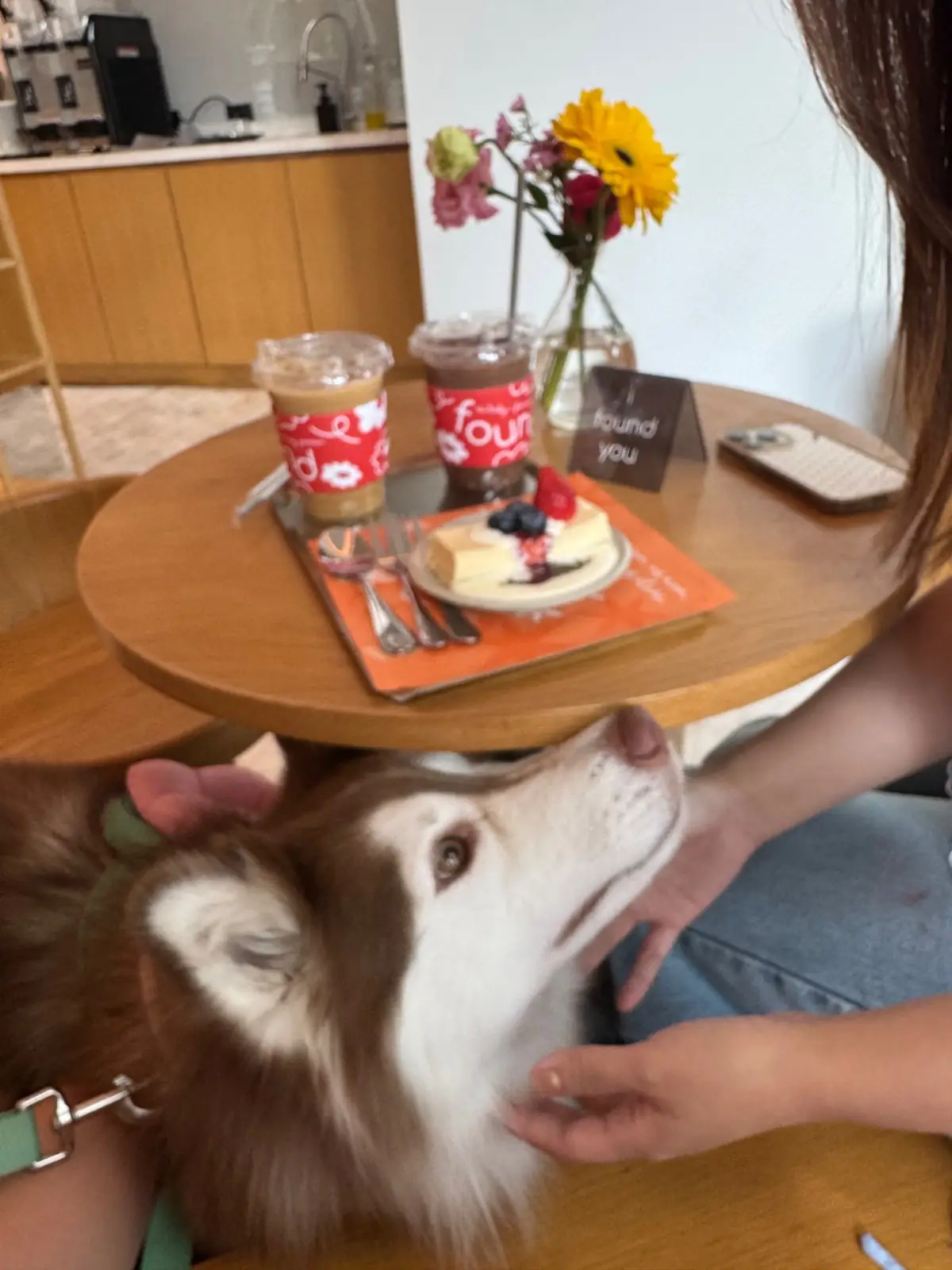 Found Cafe pets image 5