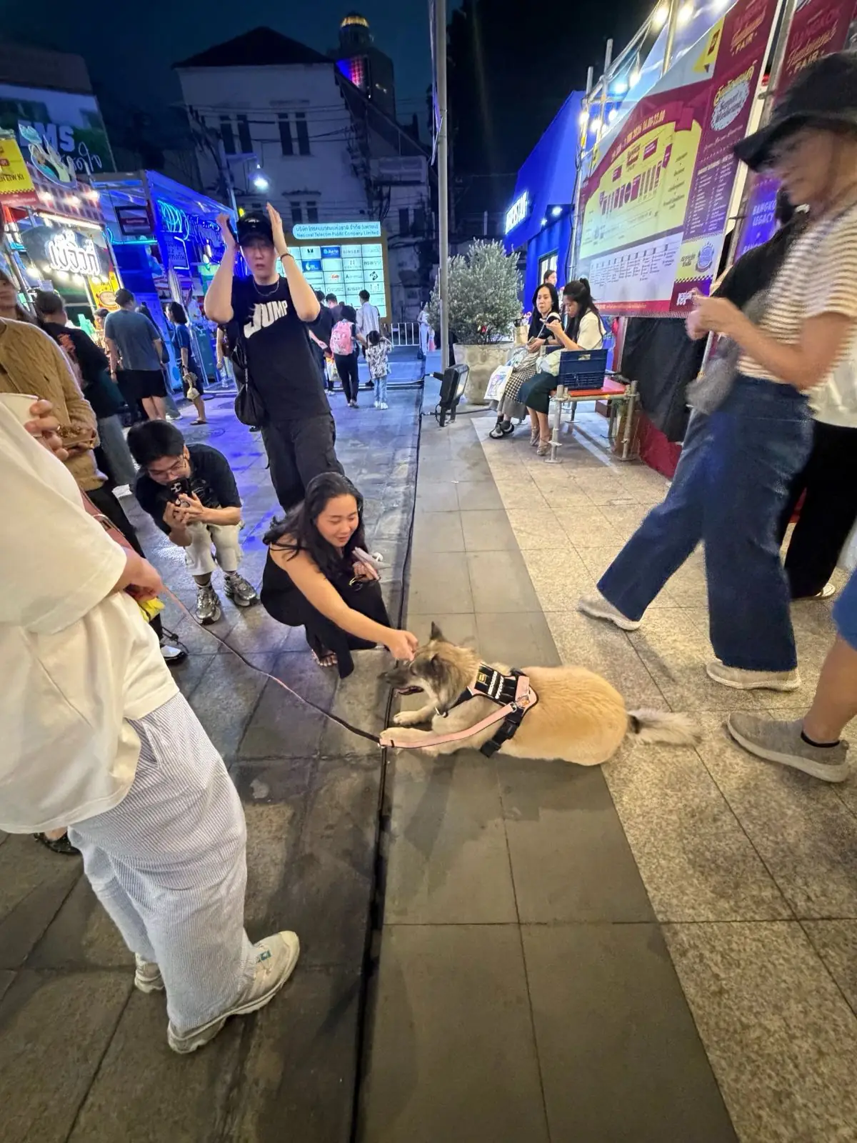 TCDC กรุงเทพ - ศูนย์สร้างสรรค์งานออกแบบ pets image 2