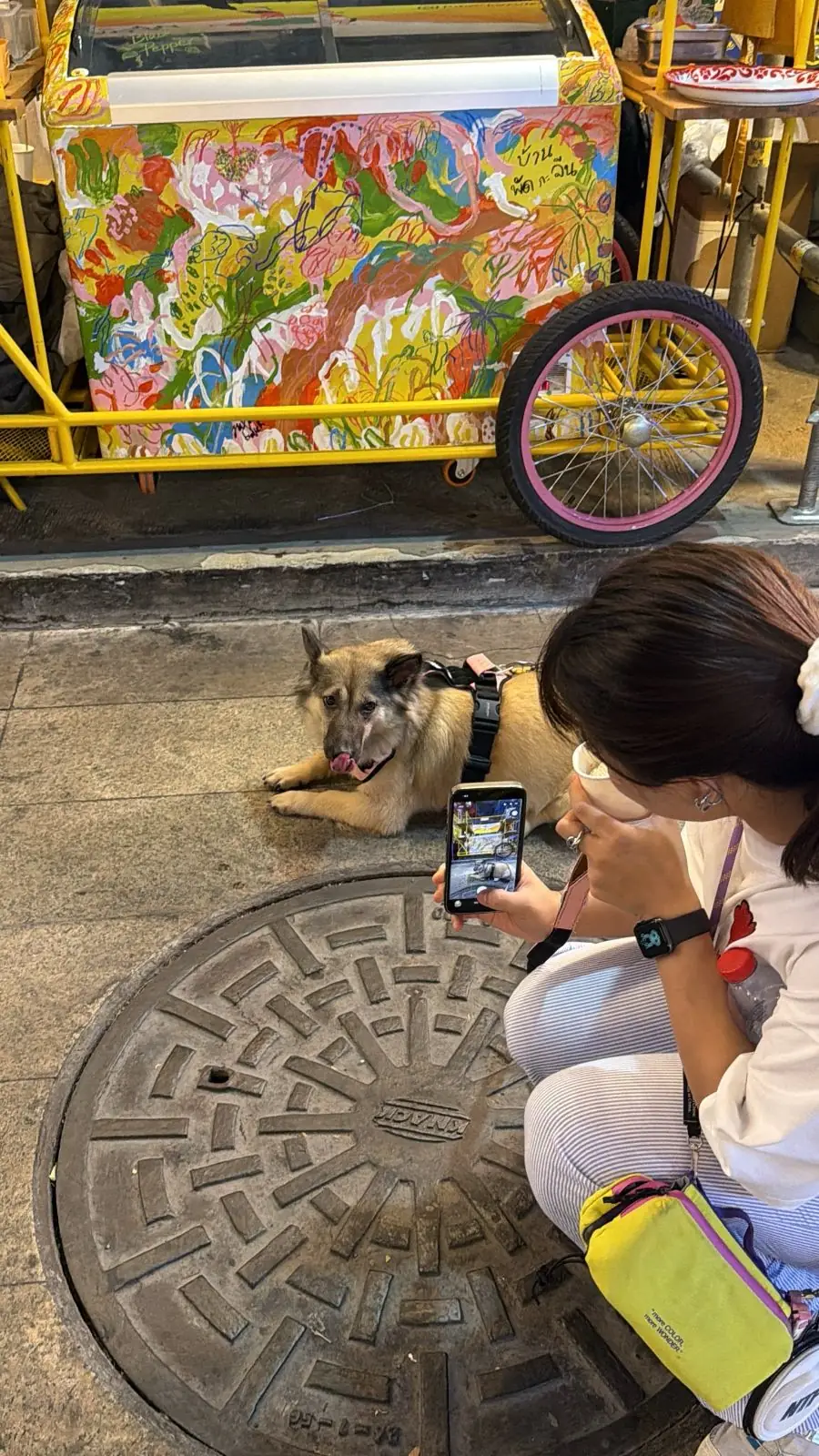 TCDC กรุงเทพ - ศูนย์สร้างสรรค์งานออกแบบ pets image 1