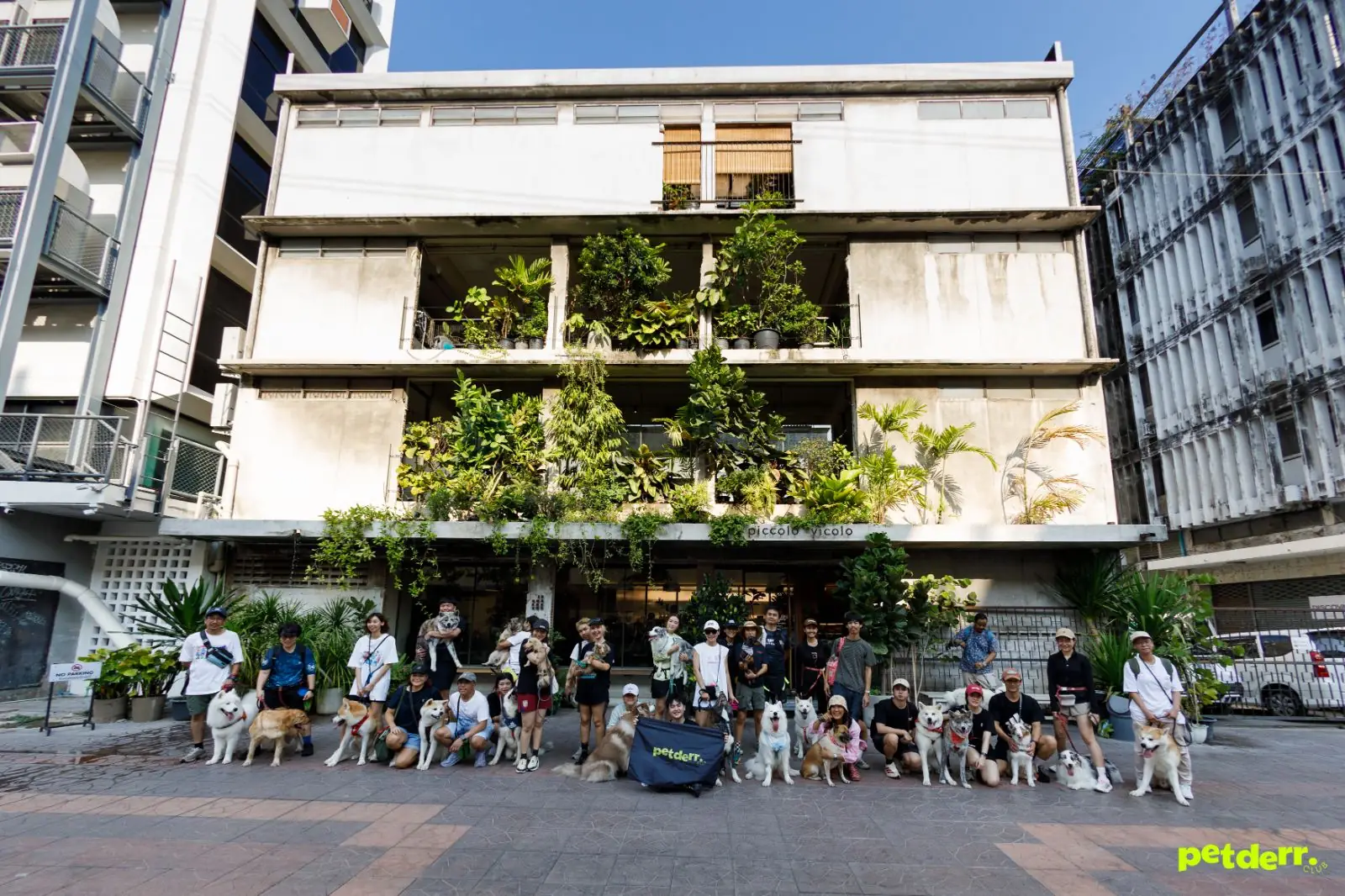 Piccolo Vicolo Café - Wang Burapha-Samyot overall image 2