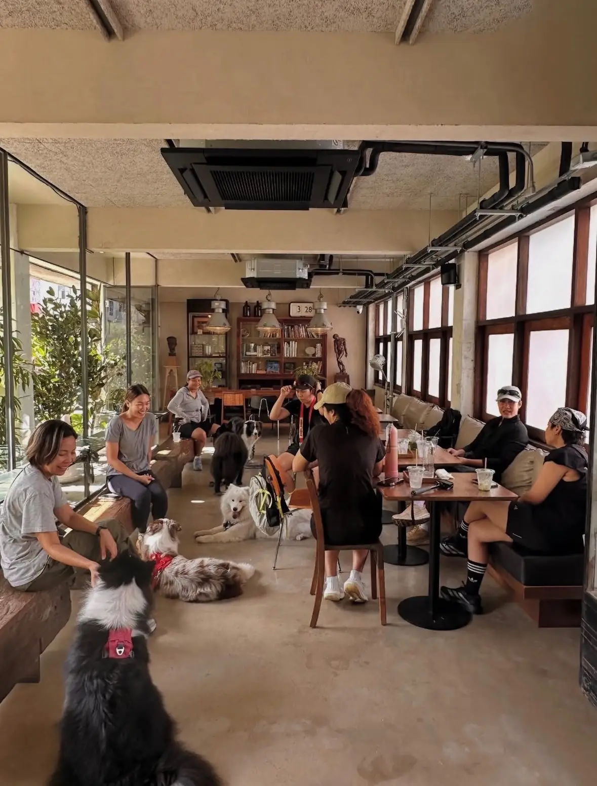 Piccolo Vicolo Café - Wang Burapha-Samyot overall image 3