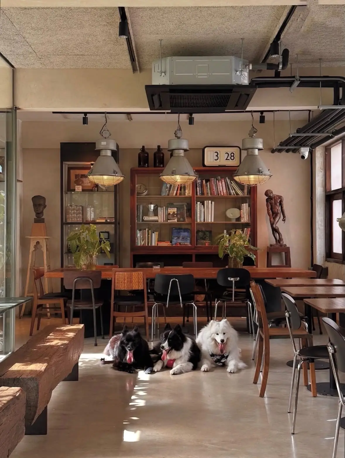 Piccolo Vicolo Café - Wang Burapha-Samyot overall image 4