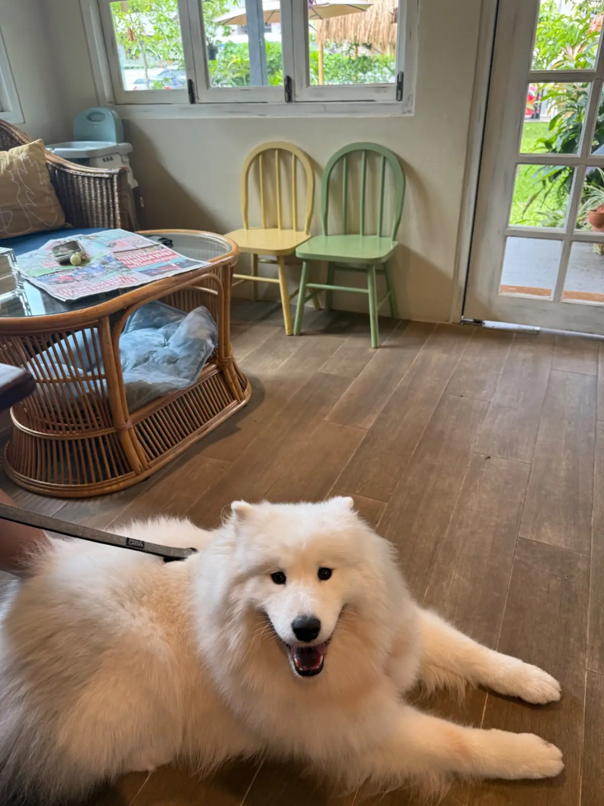 Butterhead Farm & Cafe pets image 1