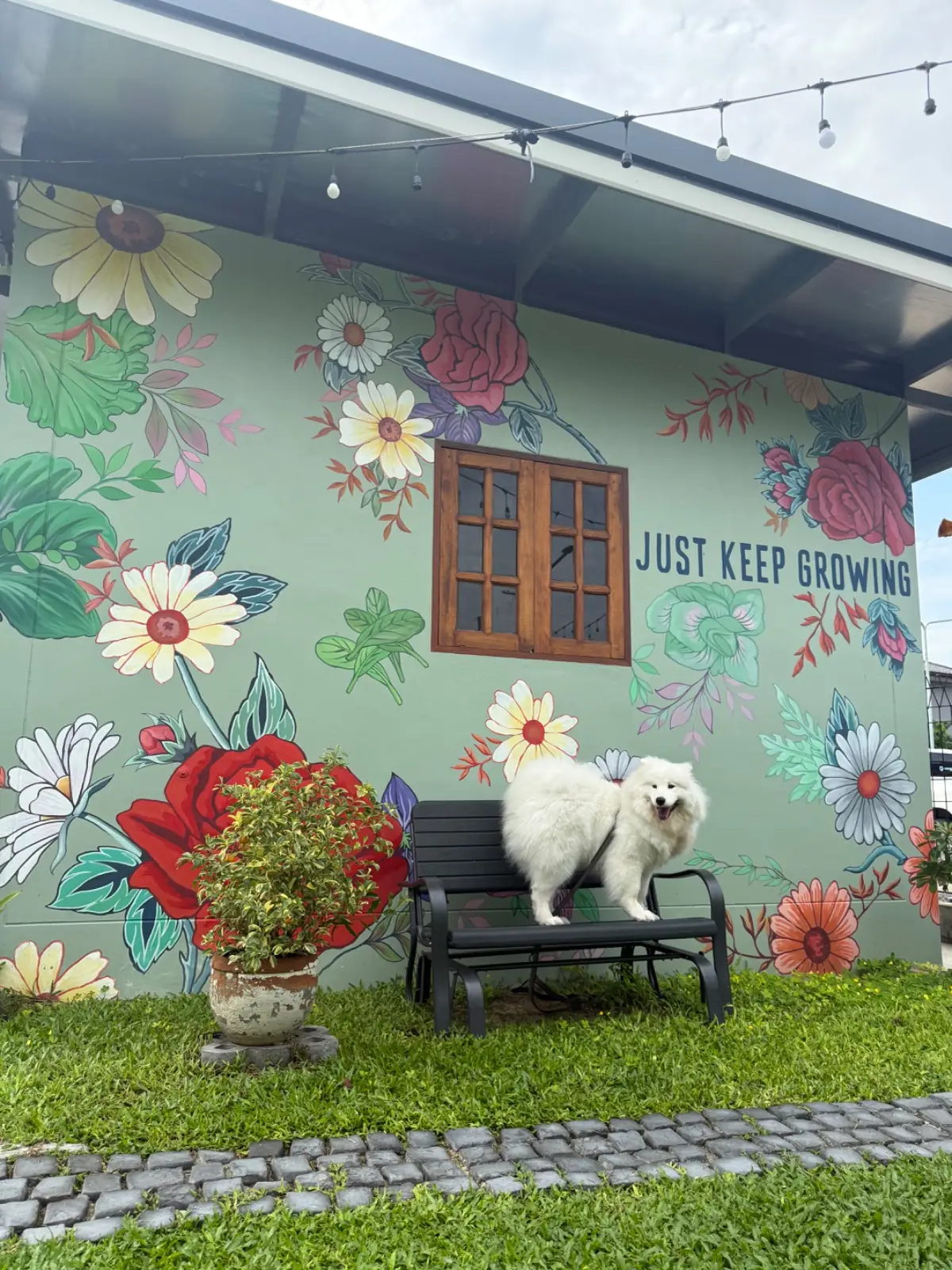 Butterhead Farm & Cafe pets image 3