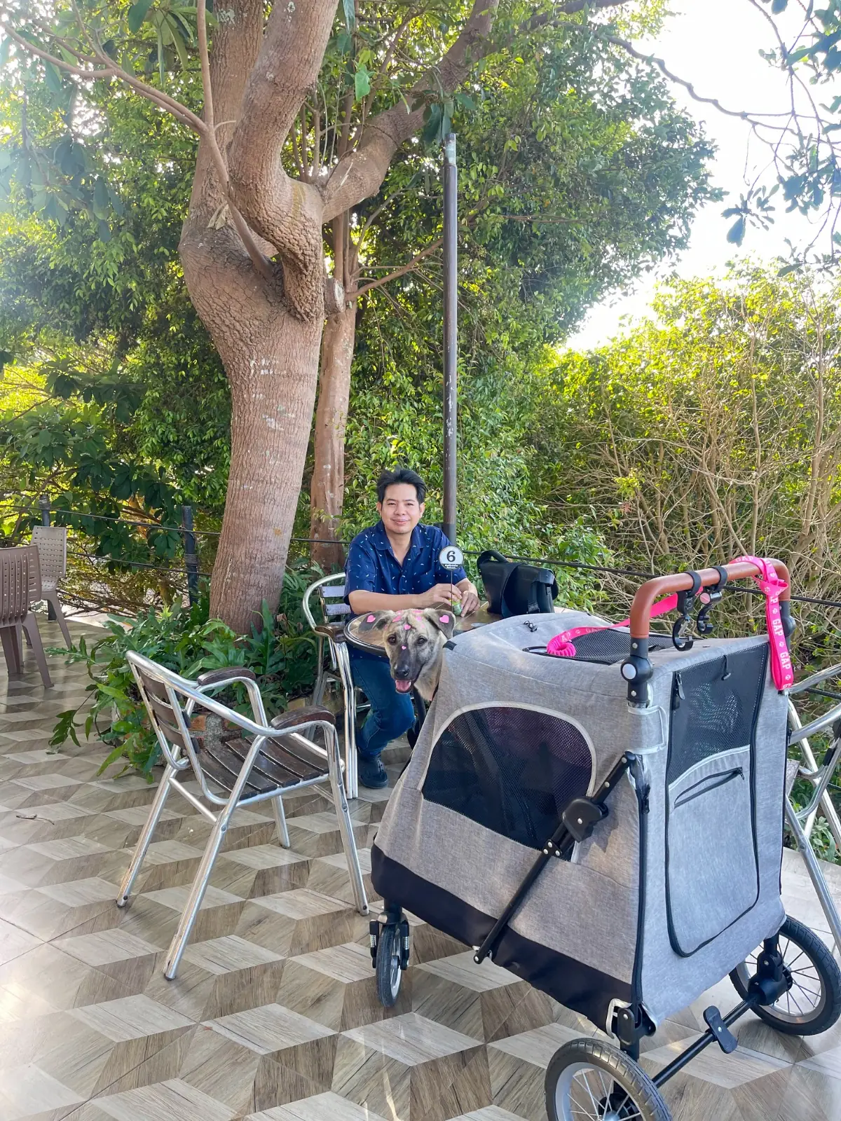 กู๊ดเมาเท่นคาเฟ่ pets image 1