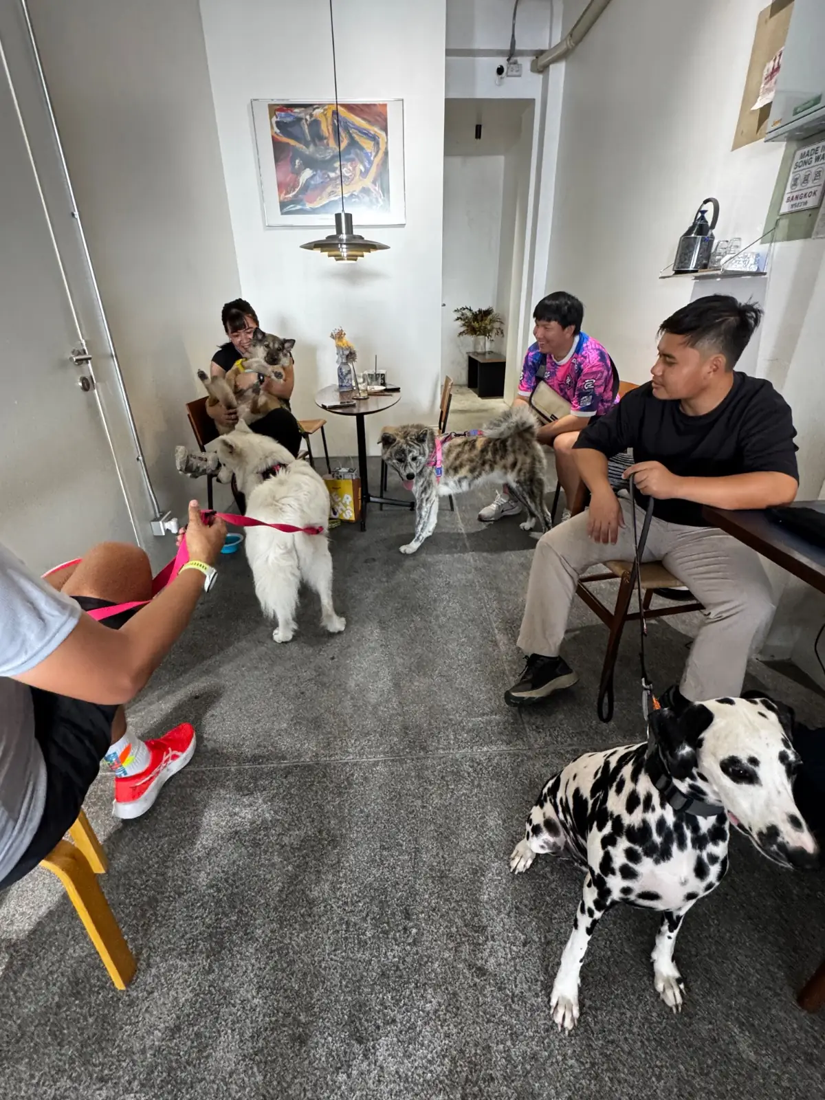 Jeencoffeebar pets image 4