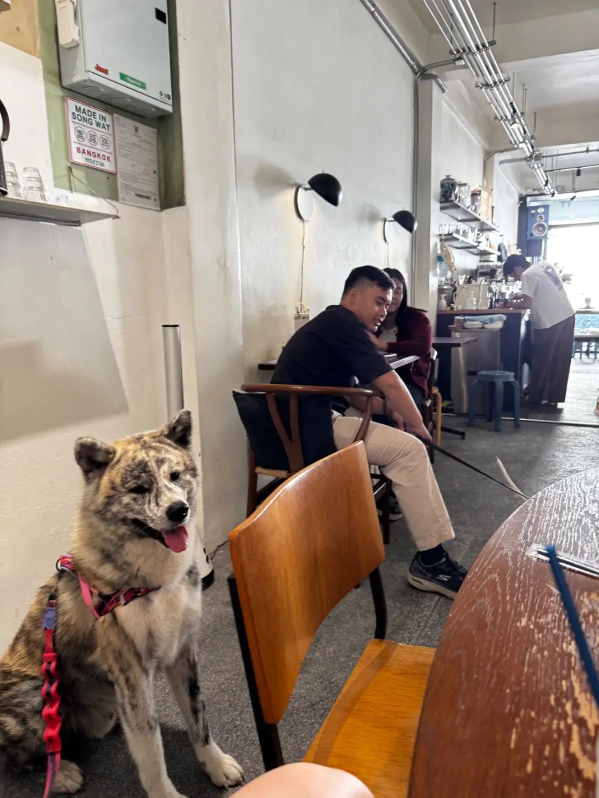 Jeencoffeebar pets image 3