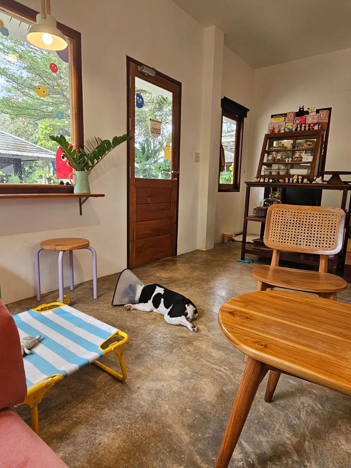 Adam and Eve Home : Cafe|Homestay pets image 3