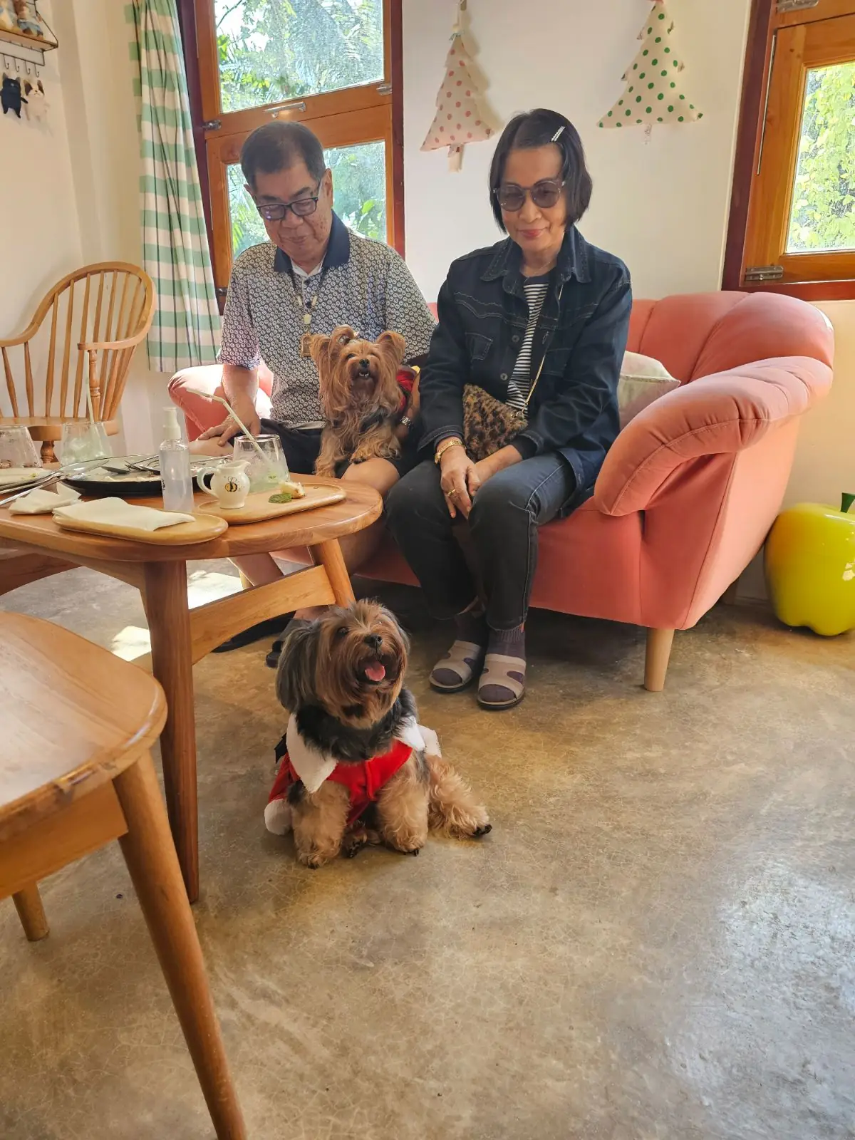 Adam and Eve Home : Cafe|Homestay pets image 4