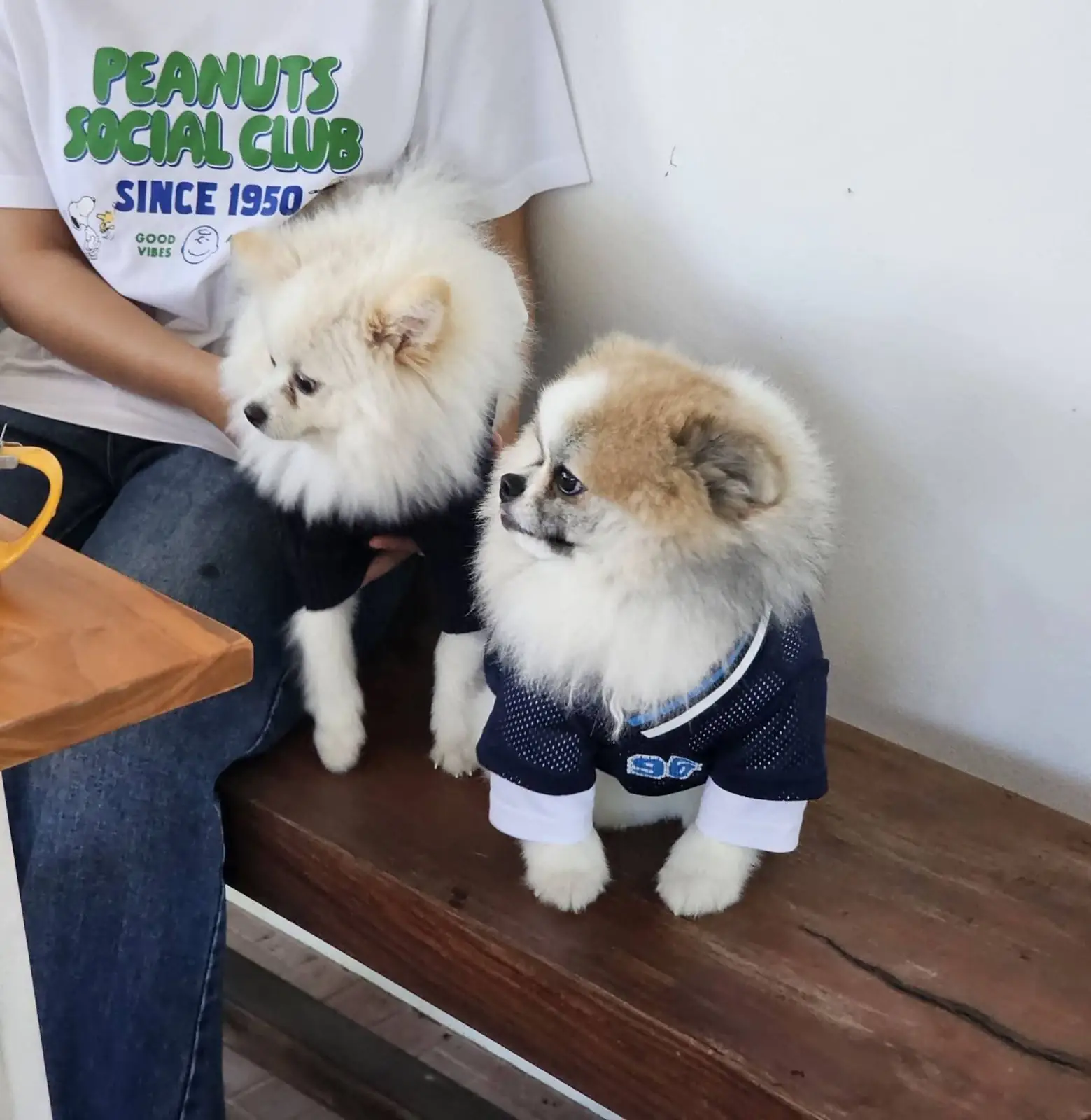 Adam and Eve Home : Cafe|Homestay pets image 2