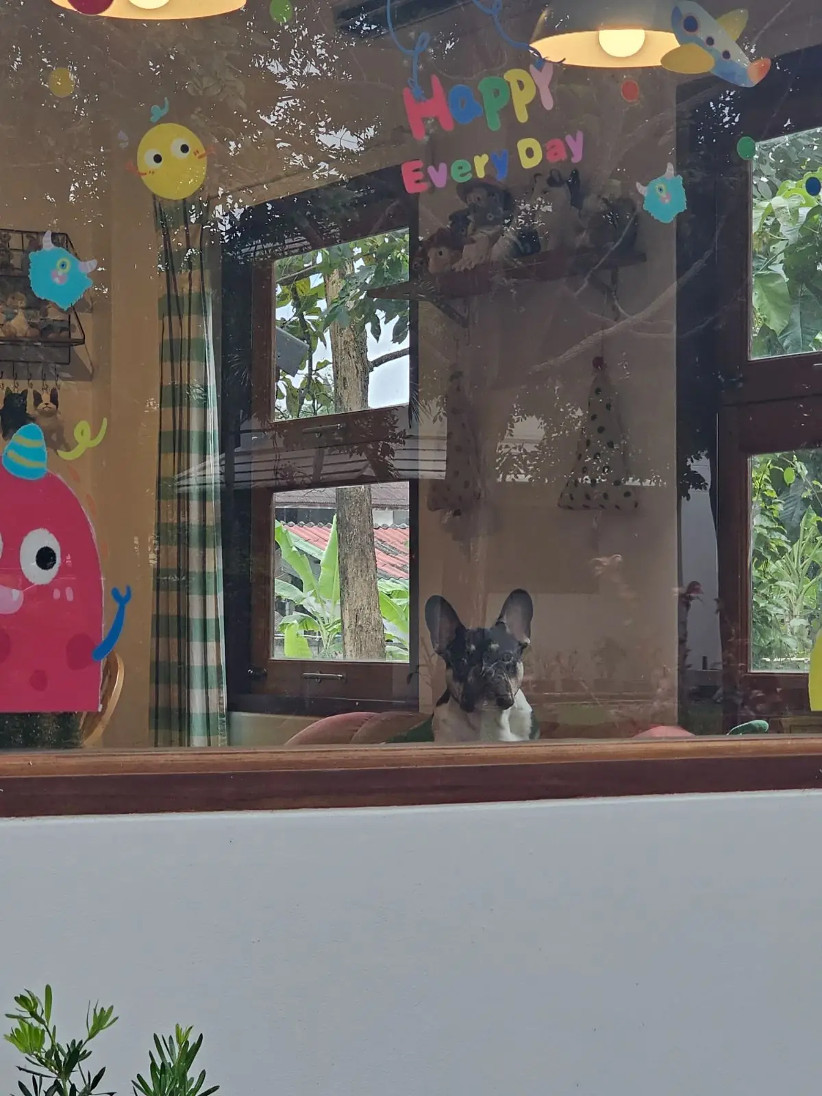 Adam and Eve Home : Cafe|Homestay pets image 1