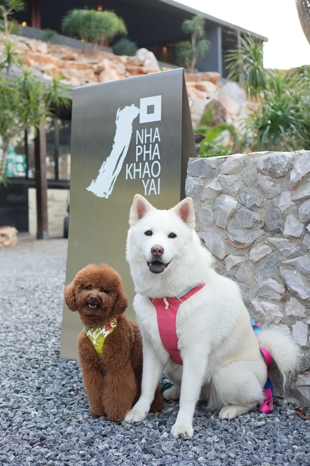 Nhapha Khao Yai Resort pets image 1