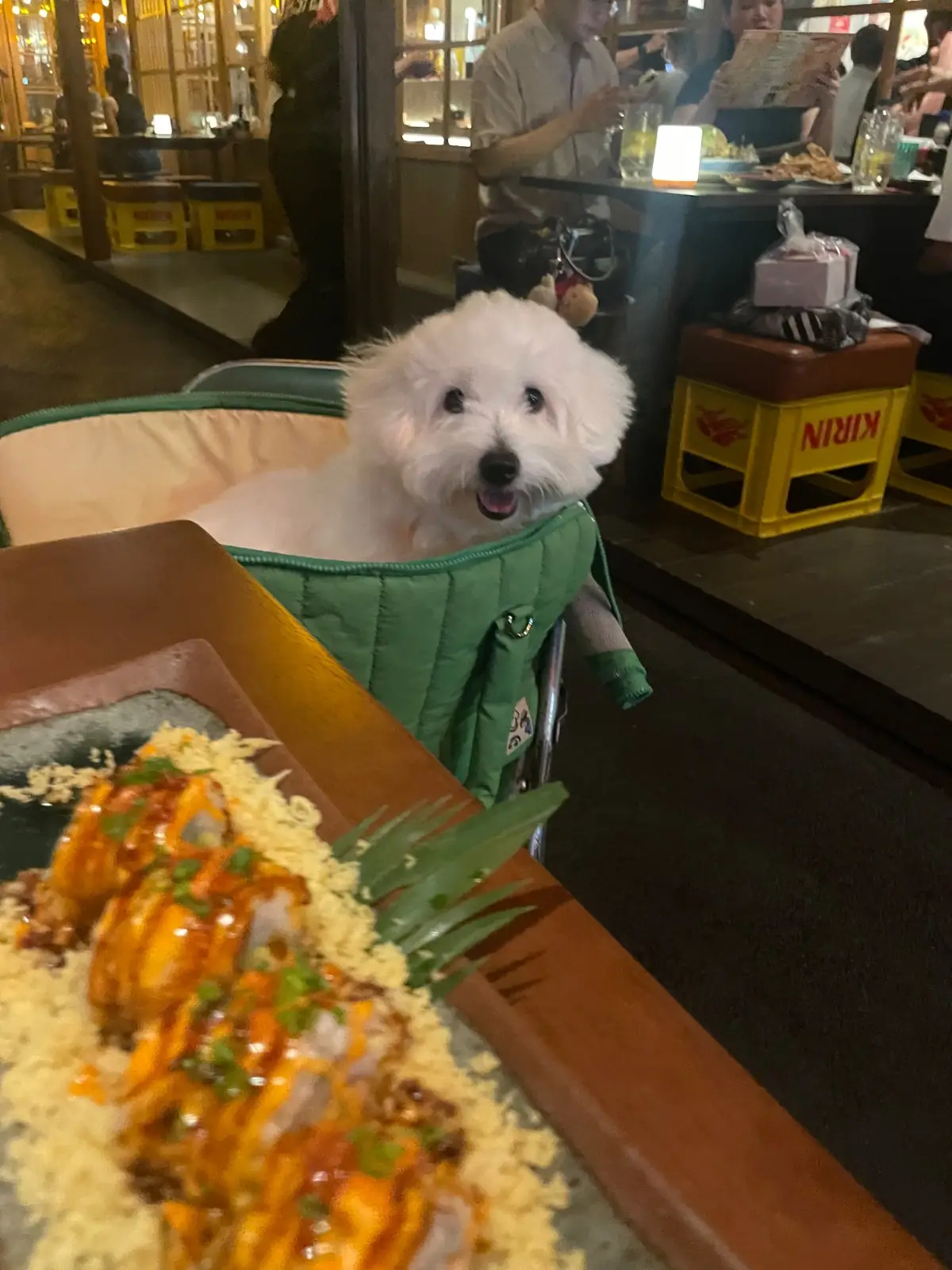 Izakaya Hotei pets image 2