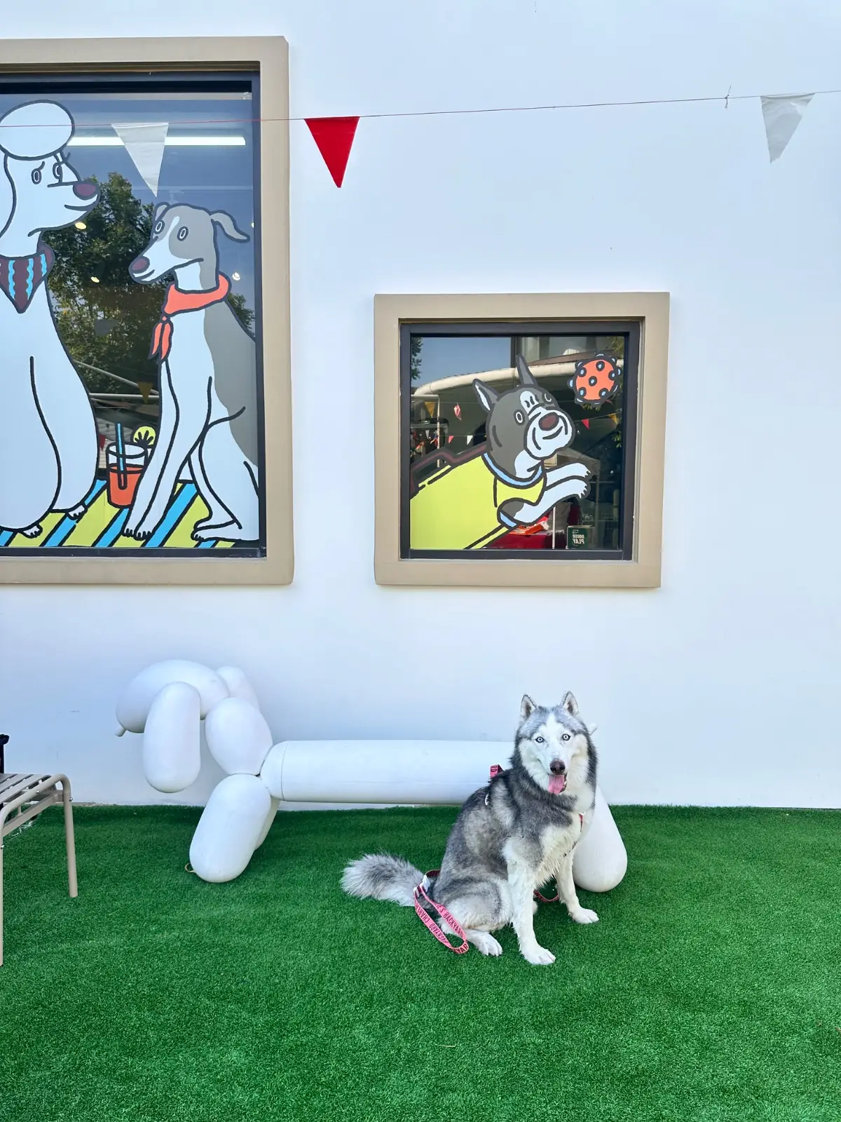 DoGGo PLAY overall image 2