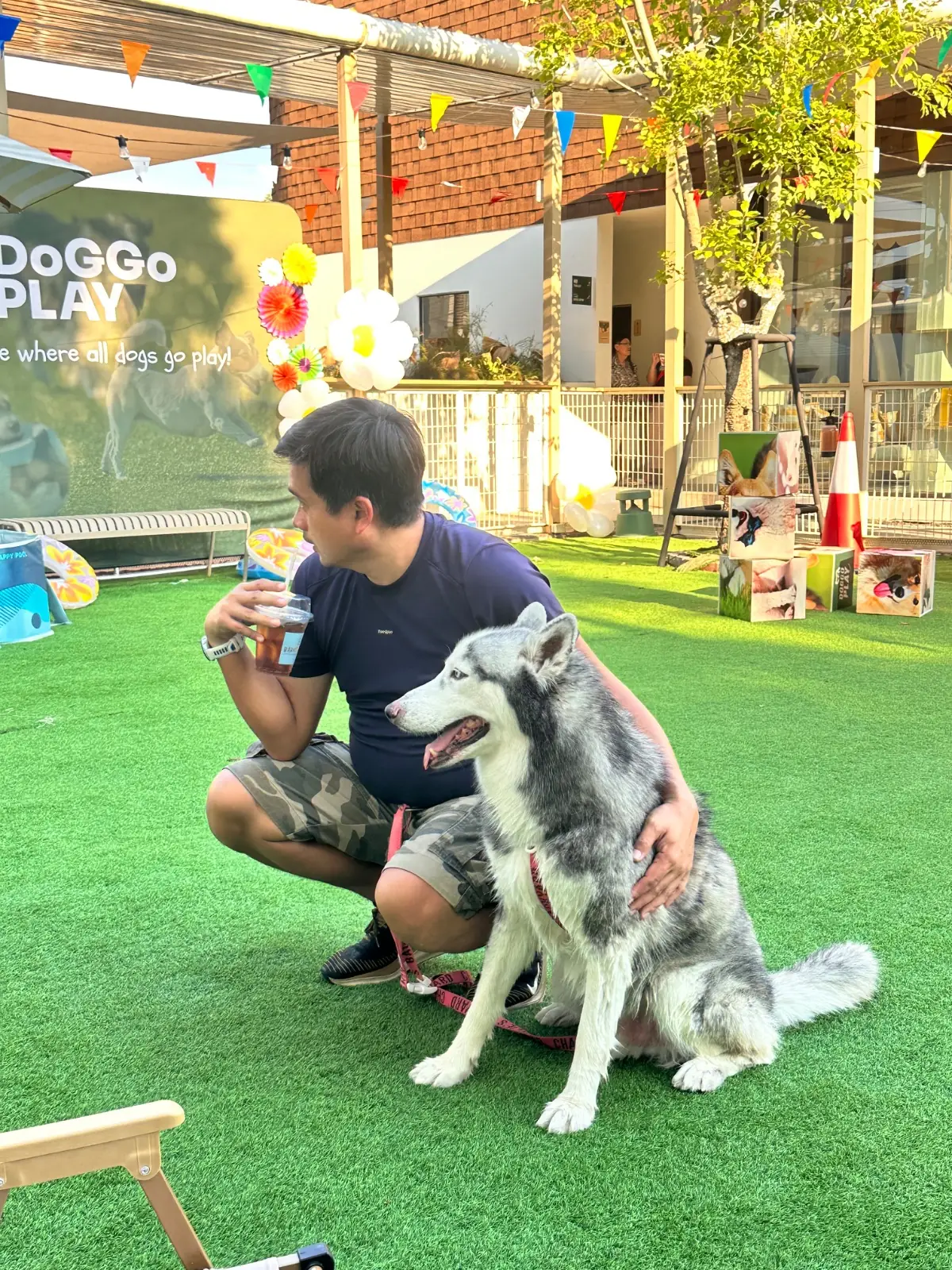DoGGo PLAY overall image 3
