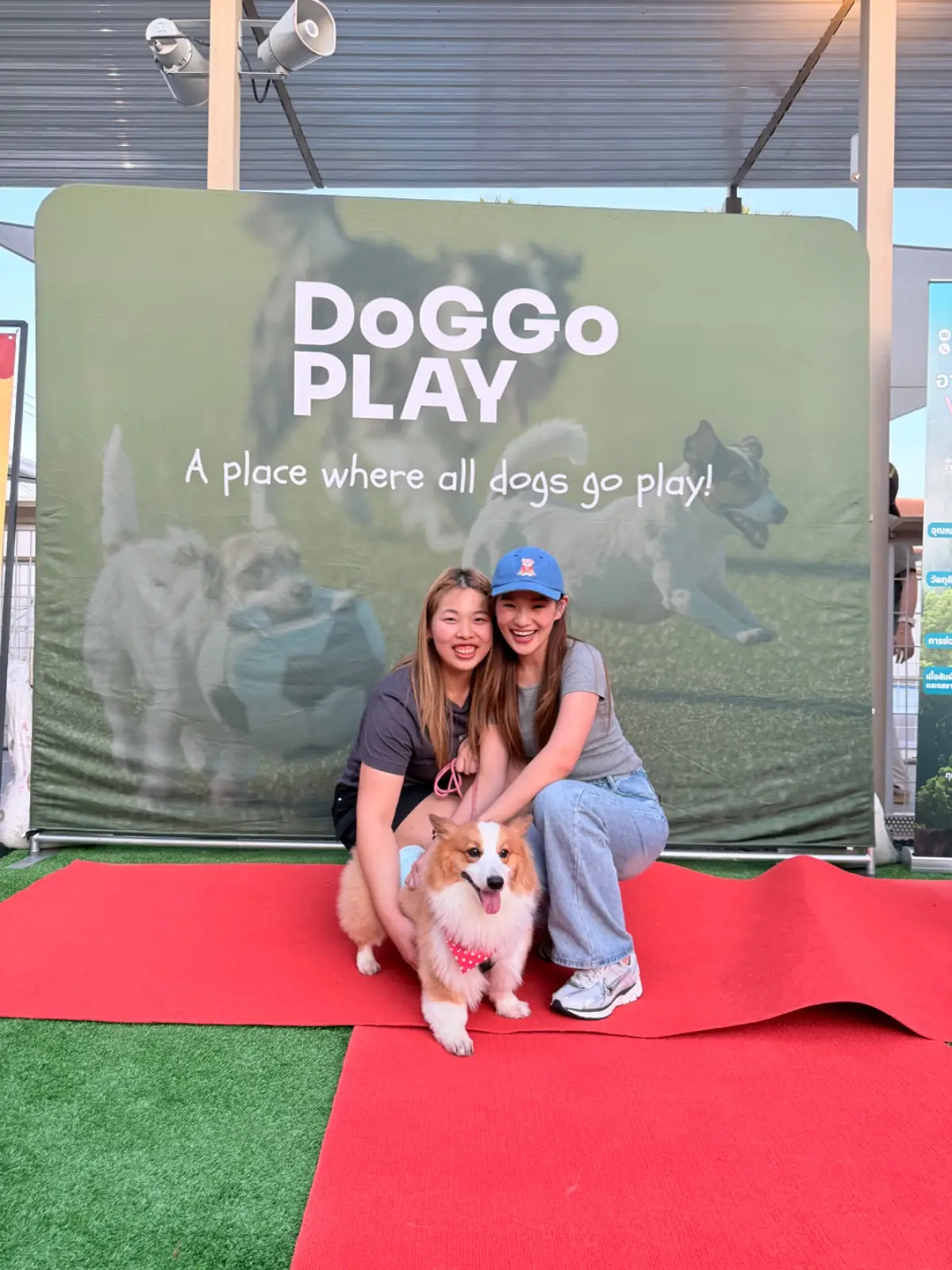 DoGGo PLAY other image 6
