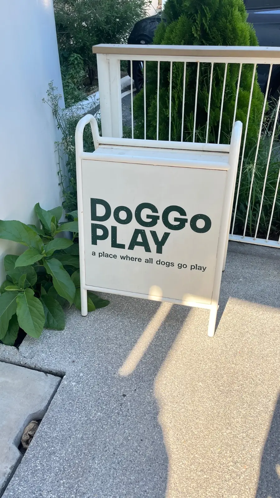 DoGGo PLAY other image 5