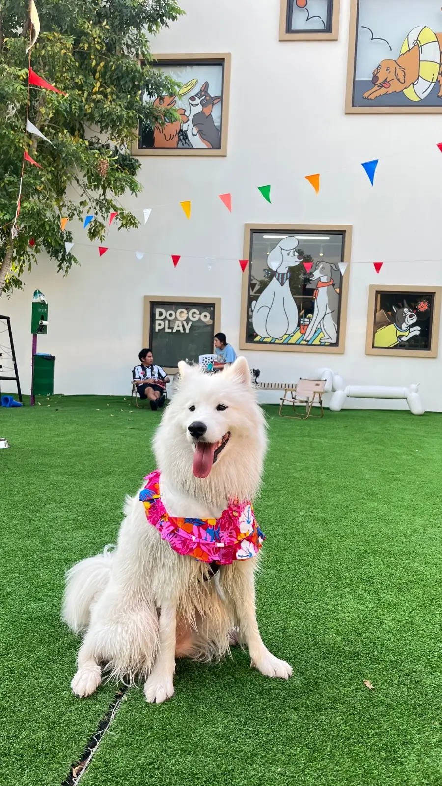DoGGo PLAY pets image 1