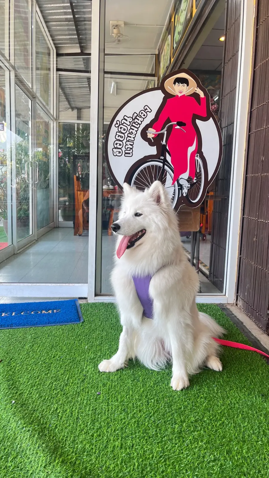 Hoy An Naem Nueng Pak Chong pets image 2