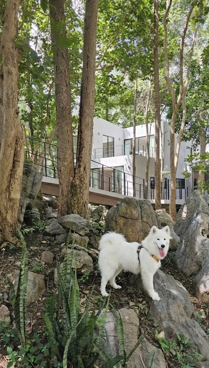 เรเวนสเกล เขาใหญ่ สเปเชี่ยลตี้ คอฟฟี่ pets image 12