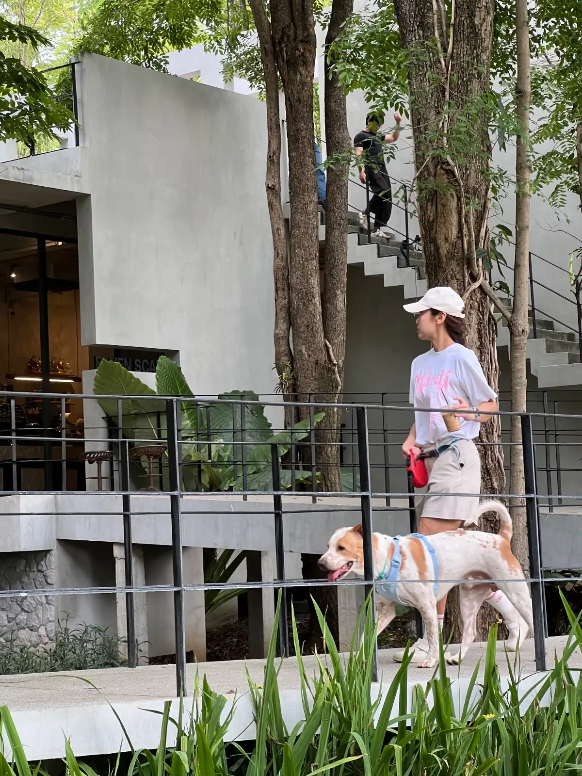 เรเวนสเกล เขาใหญ่ สเปเชี่ยลตี้ คอฟฟี่ pets image 2