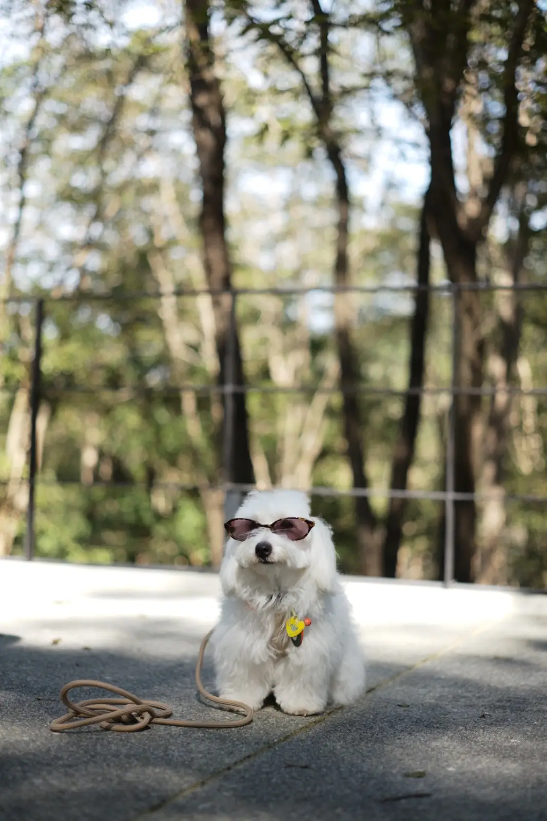 เรเวนสเกล เขาใหญ่ สเปเชี่ยลตี้ คอฟฟี่ pets image 10