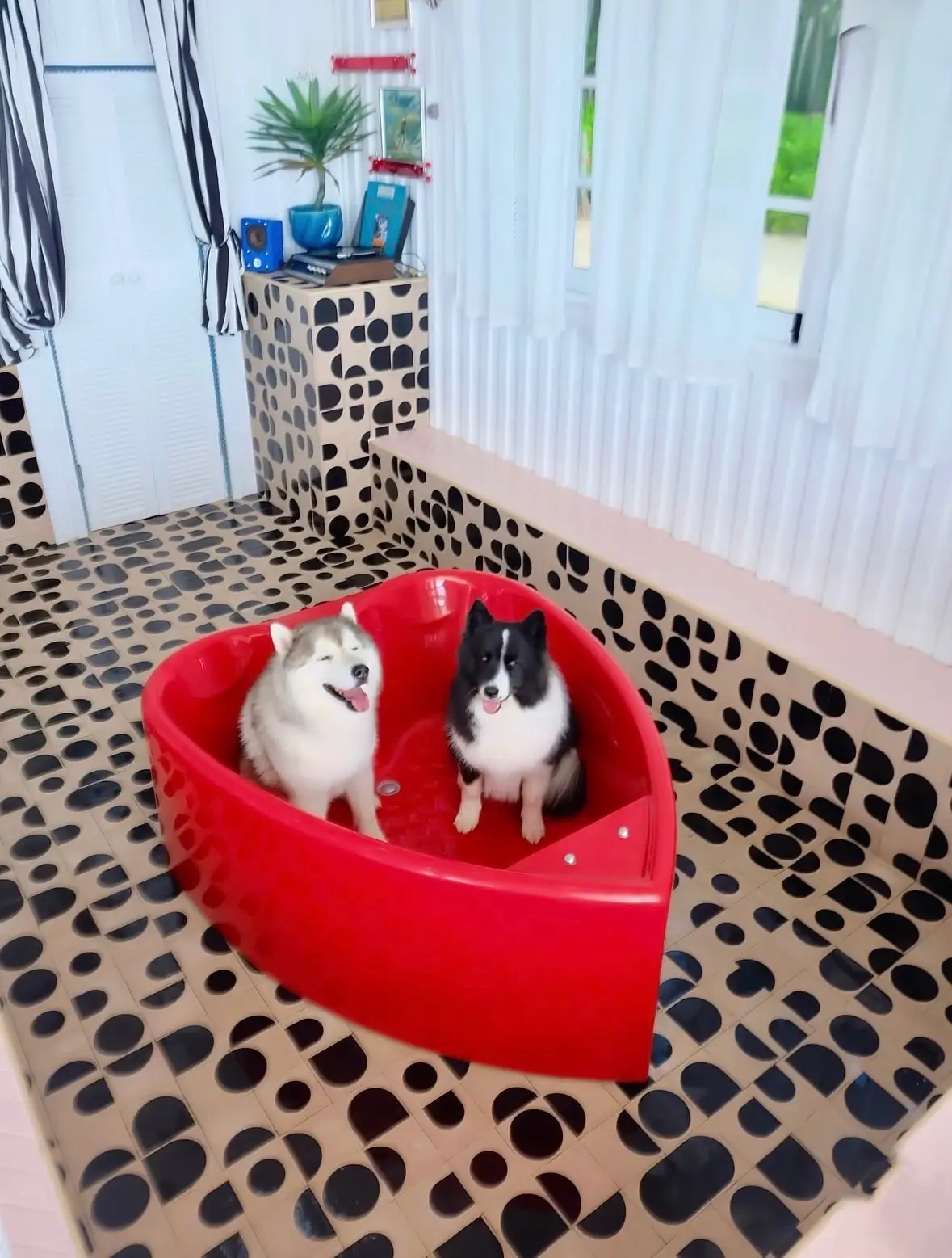 Sookjai Homestay pets image 1