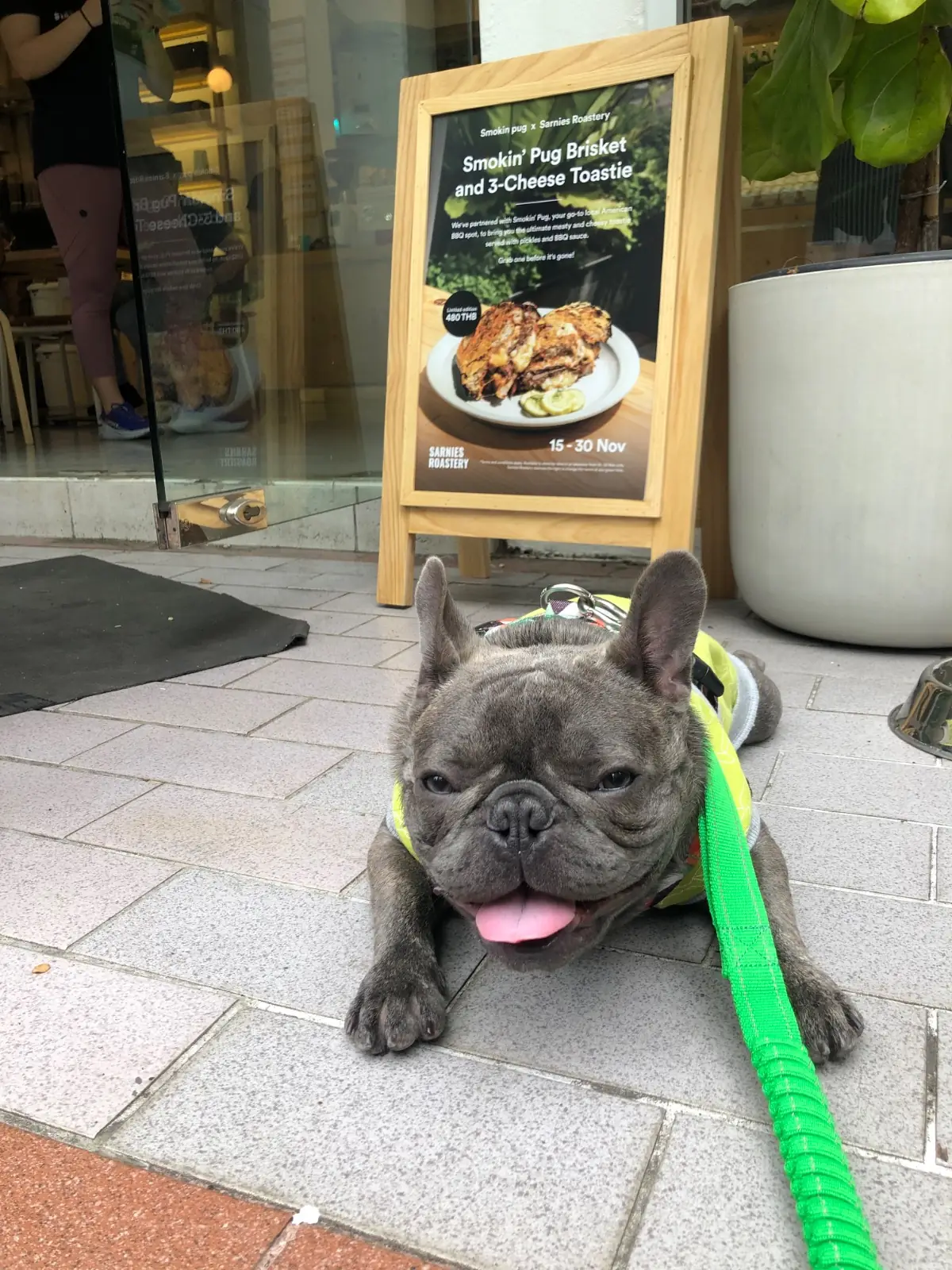 Sarnies Roastery pets image 1