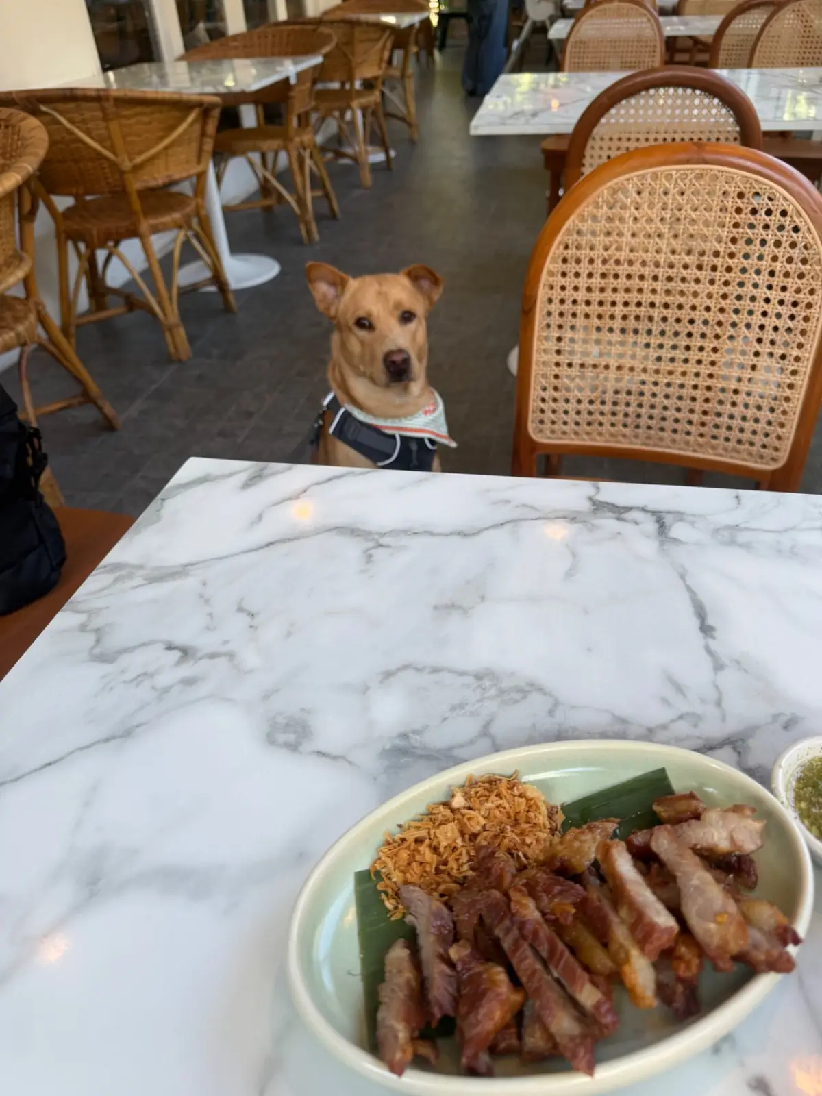 Suk-Suk Pho-cha-na Hua Hin food image 2