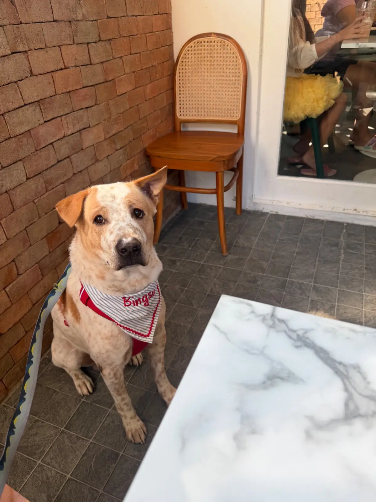 Suk-Suk Pho-cha-na Hua Hin pets image 1