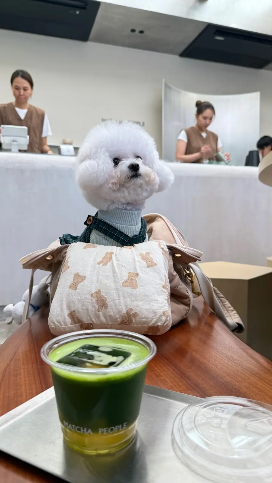 MATCHA PEOPLE other image 3