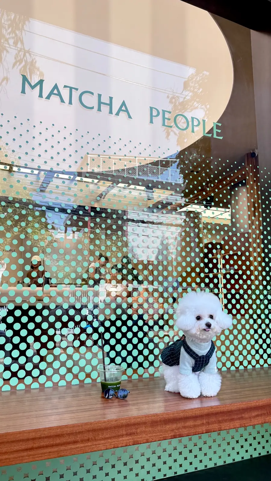 MATCHA PEOPLE other image 2