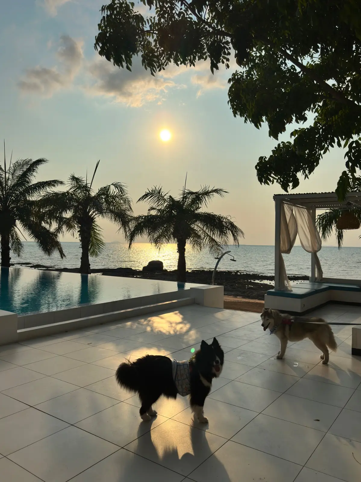 Triz Hideaway amenities image 2