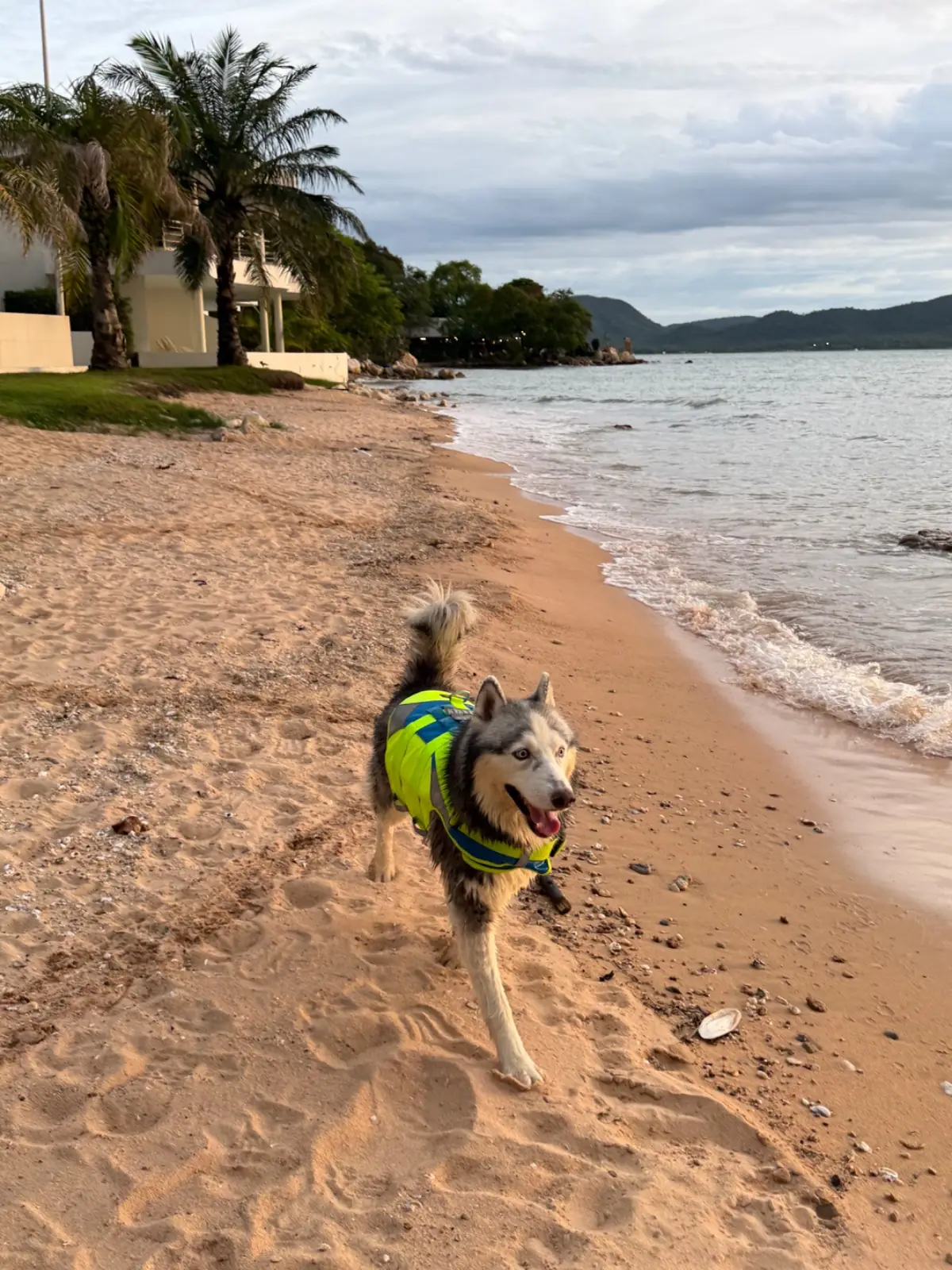 Triz Hideaway pets image 6