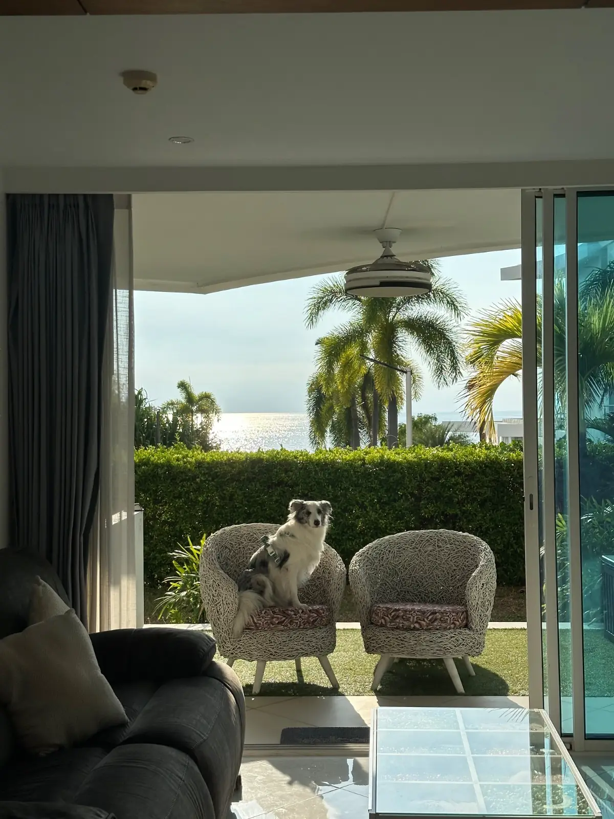 Triz Hideaway rooms image 2