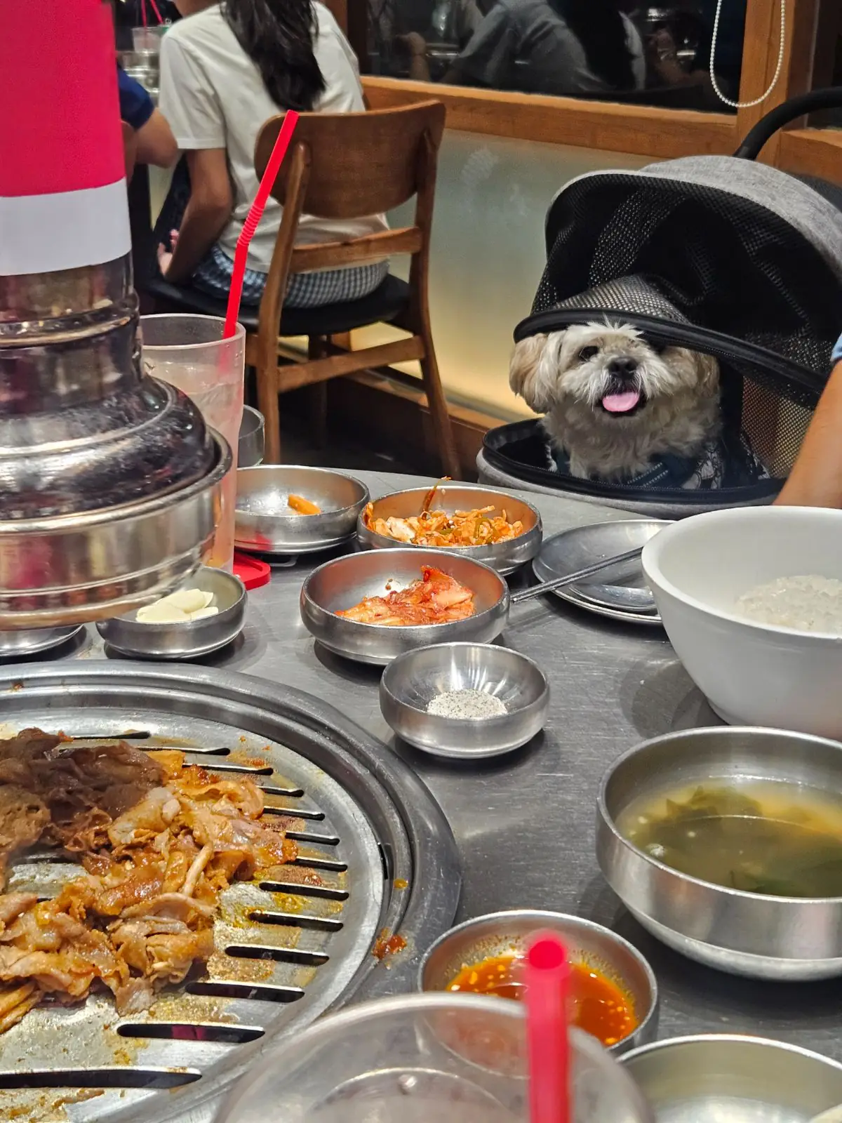 Saemaeul - The Circle Ratchapruek pets image 1