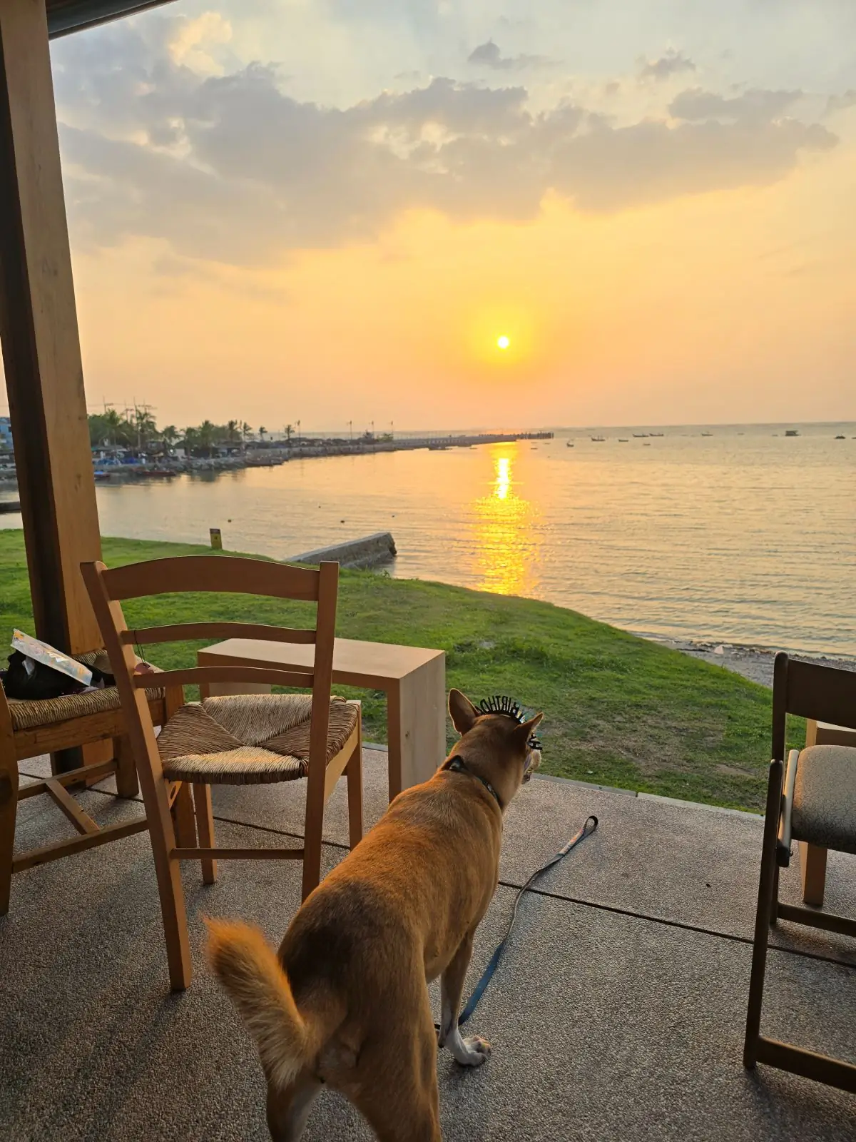 ฮาฟลี่ คาเฟ่ ambiance image 1