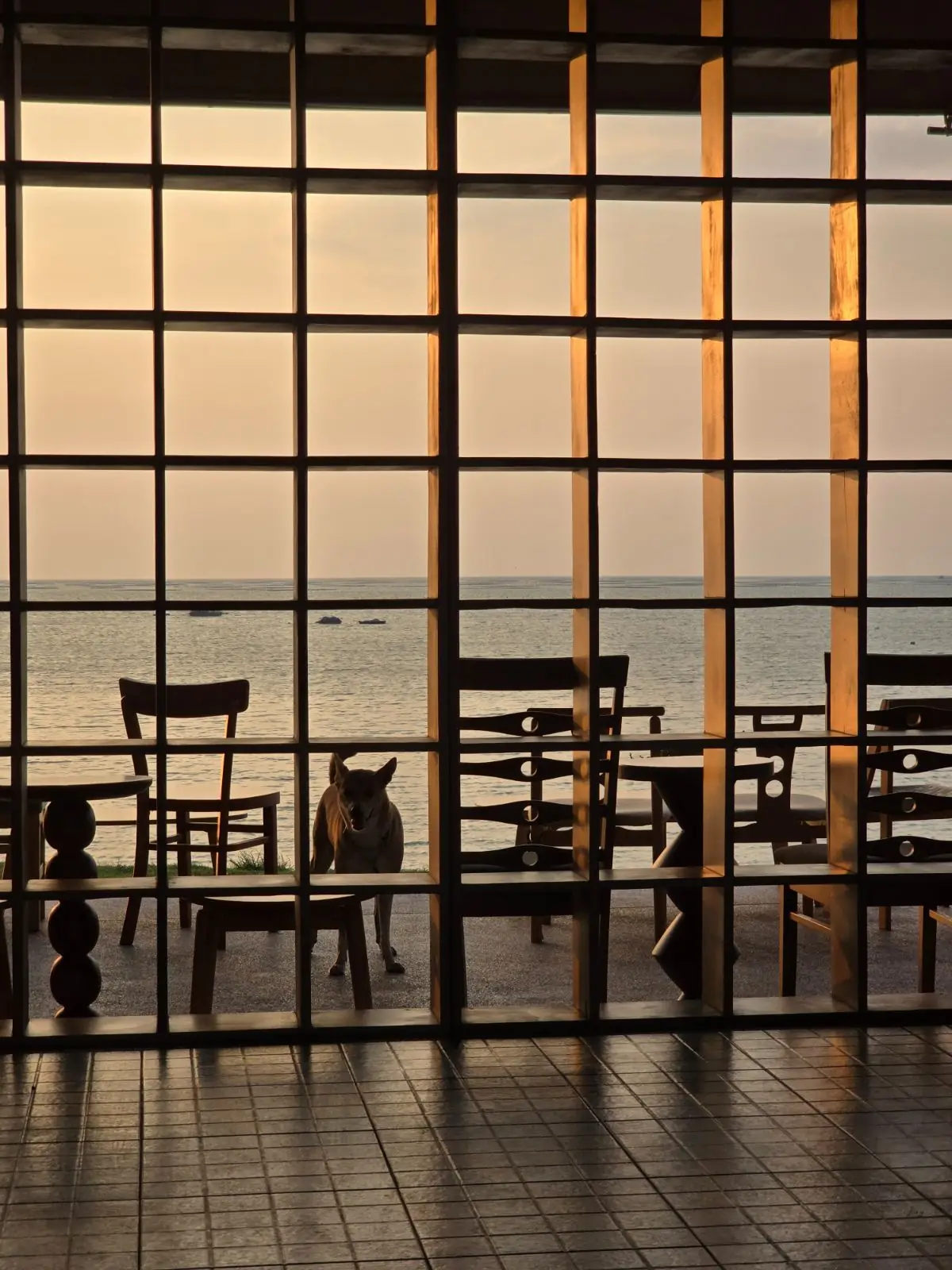 ฮาฟลี่ คาเฟ่ ambiance image 2