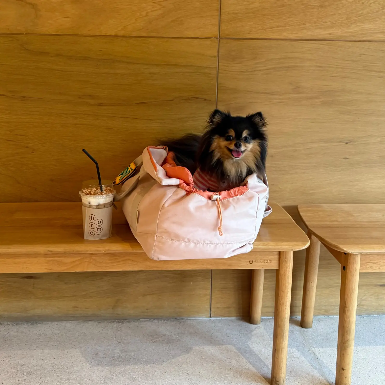 Horme Cafe - Nonthaburi pets image 1