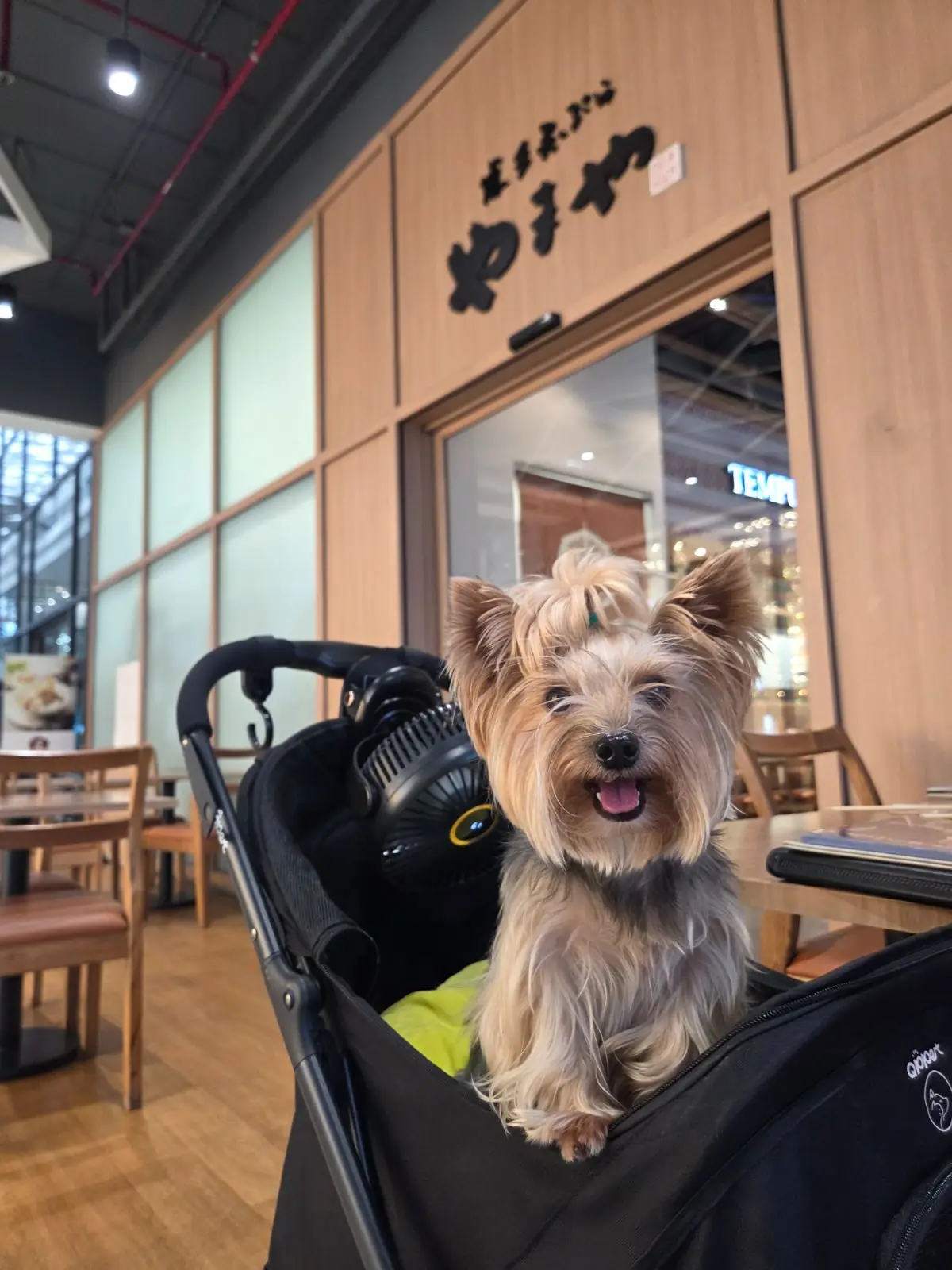 Tempura Yamaya - Design Village - Bangna pets image 1