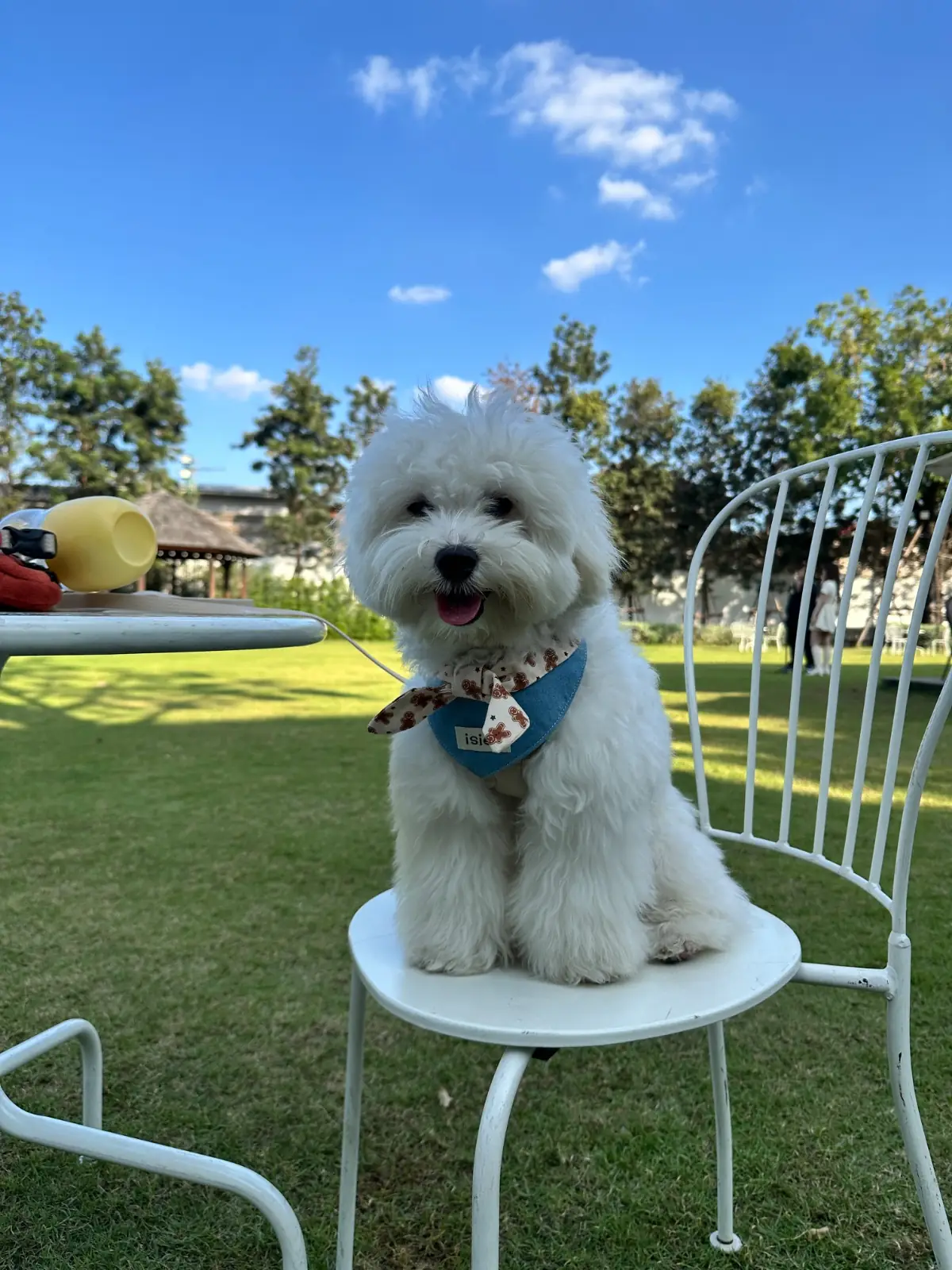 128 Craft & Soul pets image 1