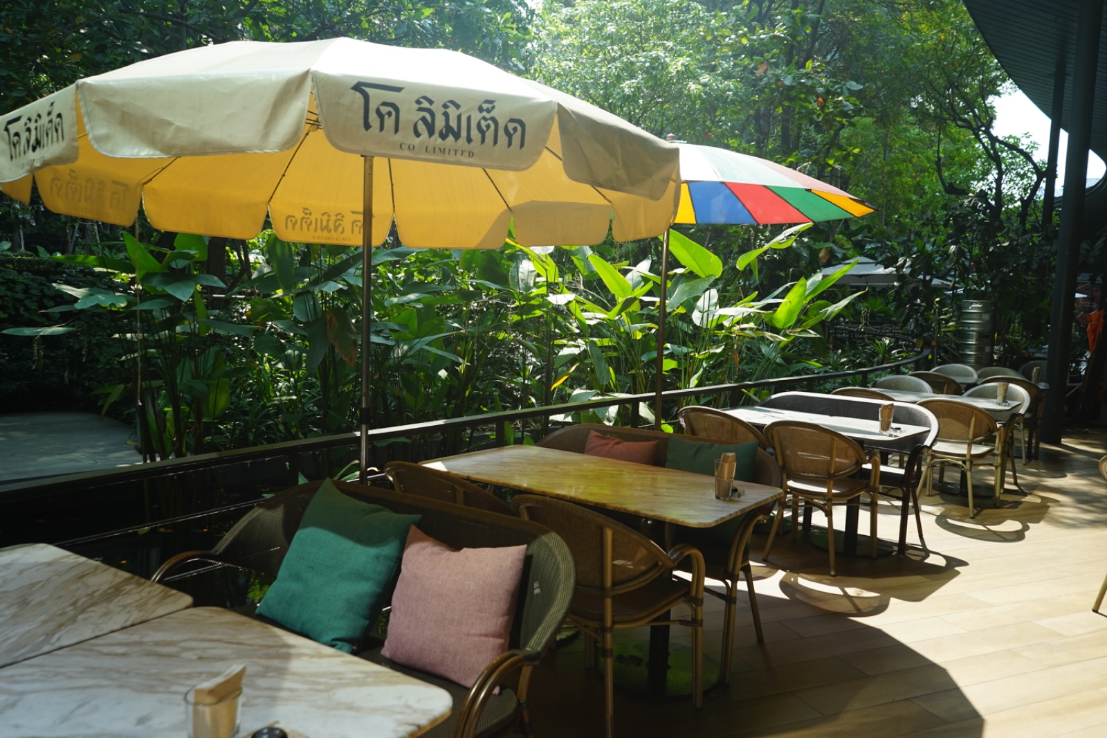 CO LIMITED hero image 3